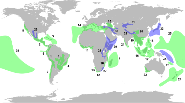 The traditional map of biodiversity hotspots overlooks the boreal forest.