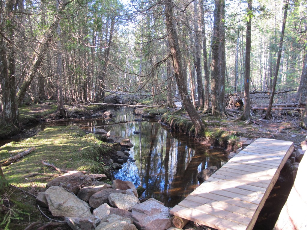 A calm section of the connecting stream.