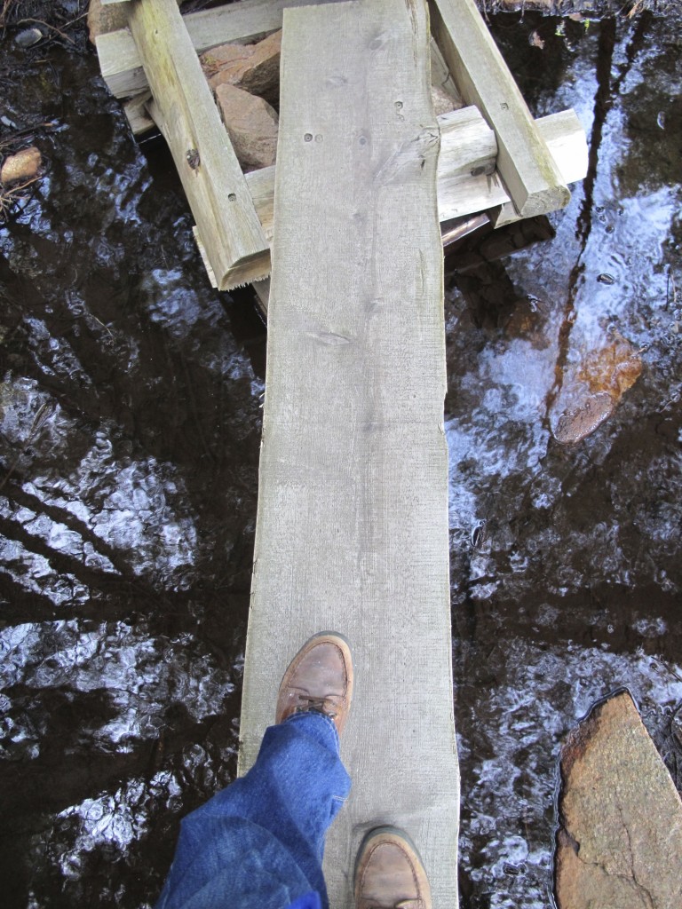 Sometimes the log trail narrows and takes you over water. Kids (like us) get a thrill from this sort of crossing. But it's easy and the water is shallow.