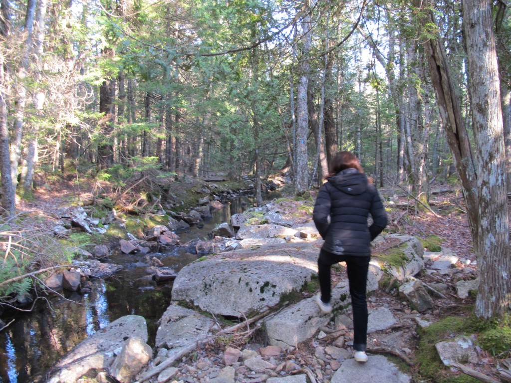 Climbing over granite slabs and chunks is a quintessential part of hiking in and around Acadia National Park.