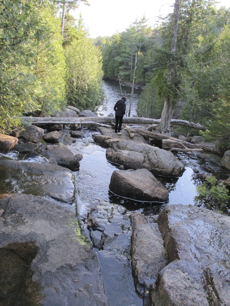 This is looking down from the bridge toward Lower Hadlock Pond. The trail heads along the right side of the pond.