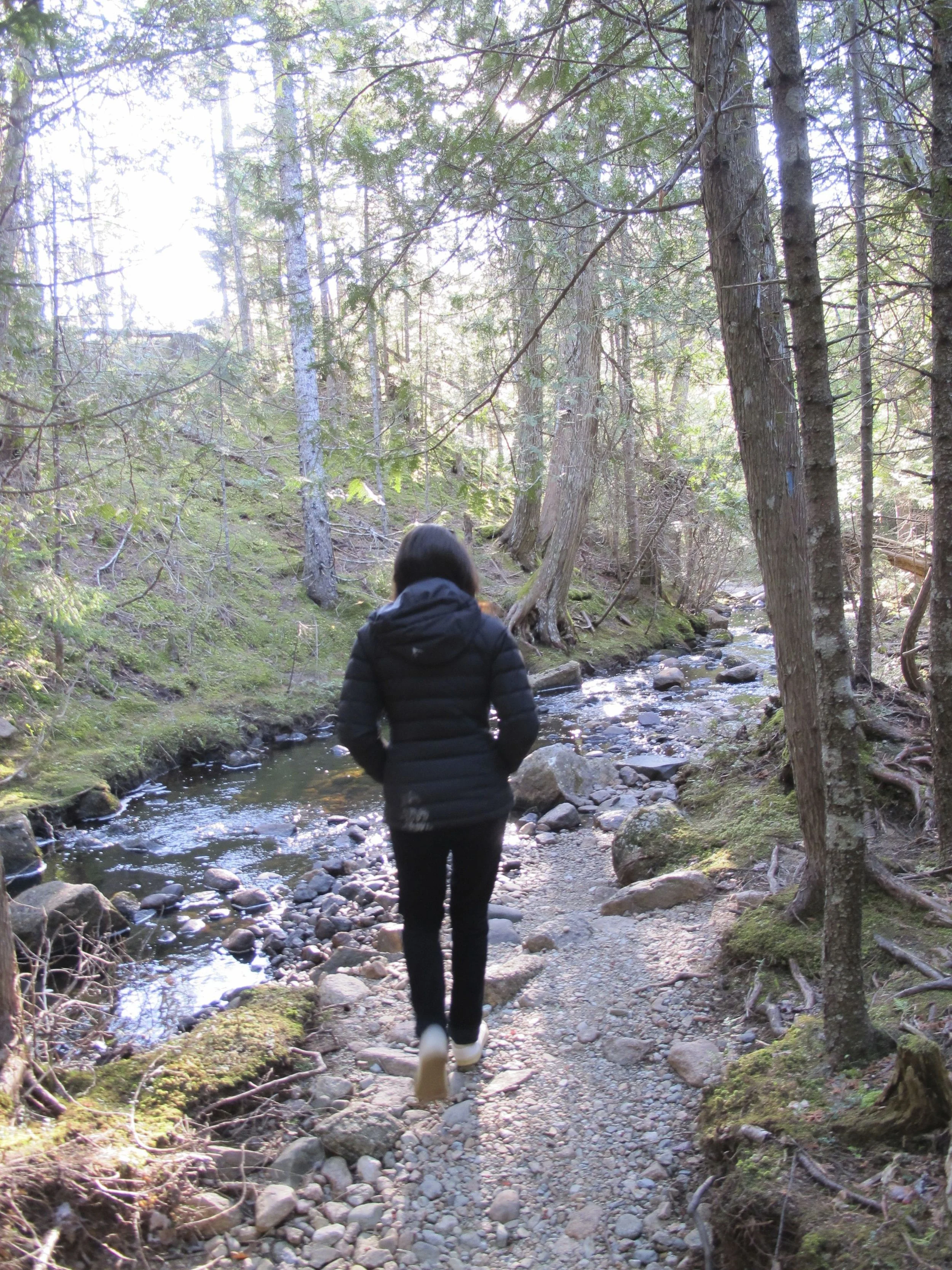 One more shot of that stream.