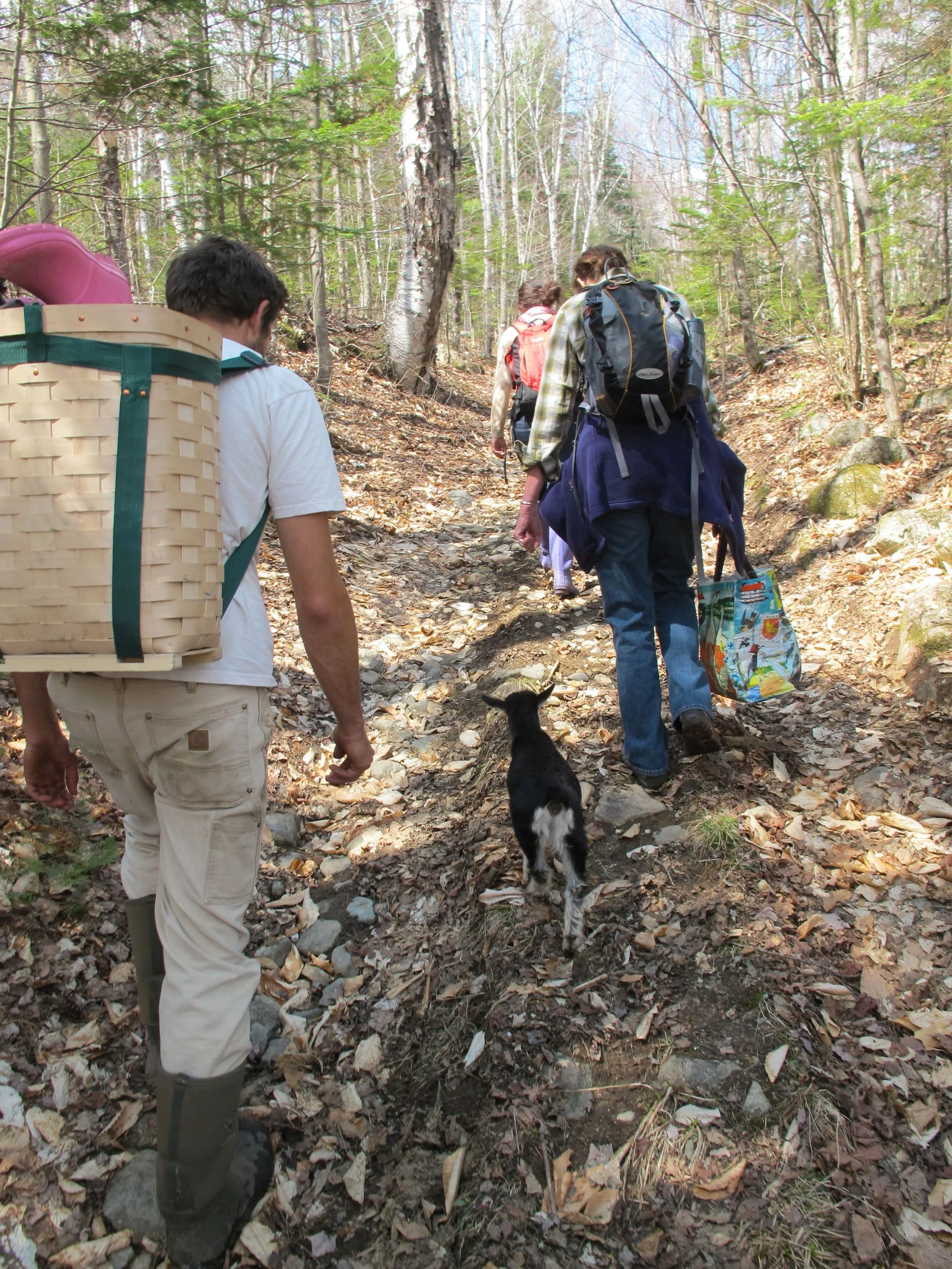 Marcelene easily kept up with the rest of us hikers.
