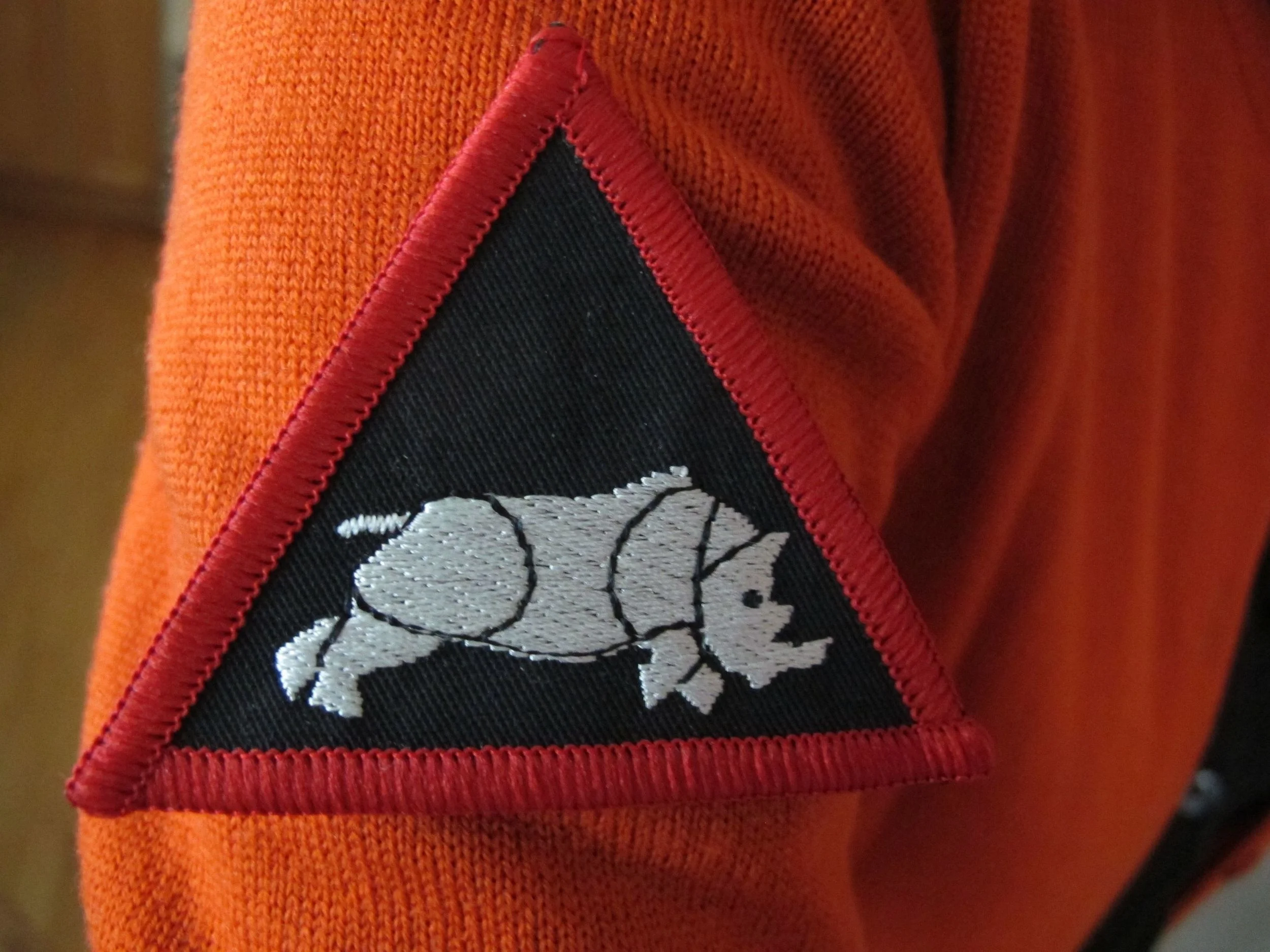 Coming to the Notebook this year: Another way to show you care about endangered rhinos.