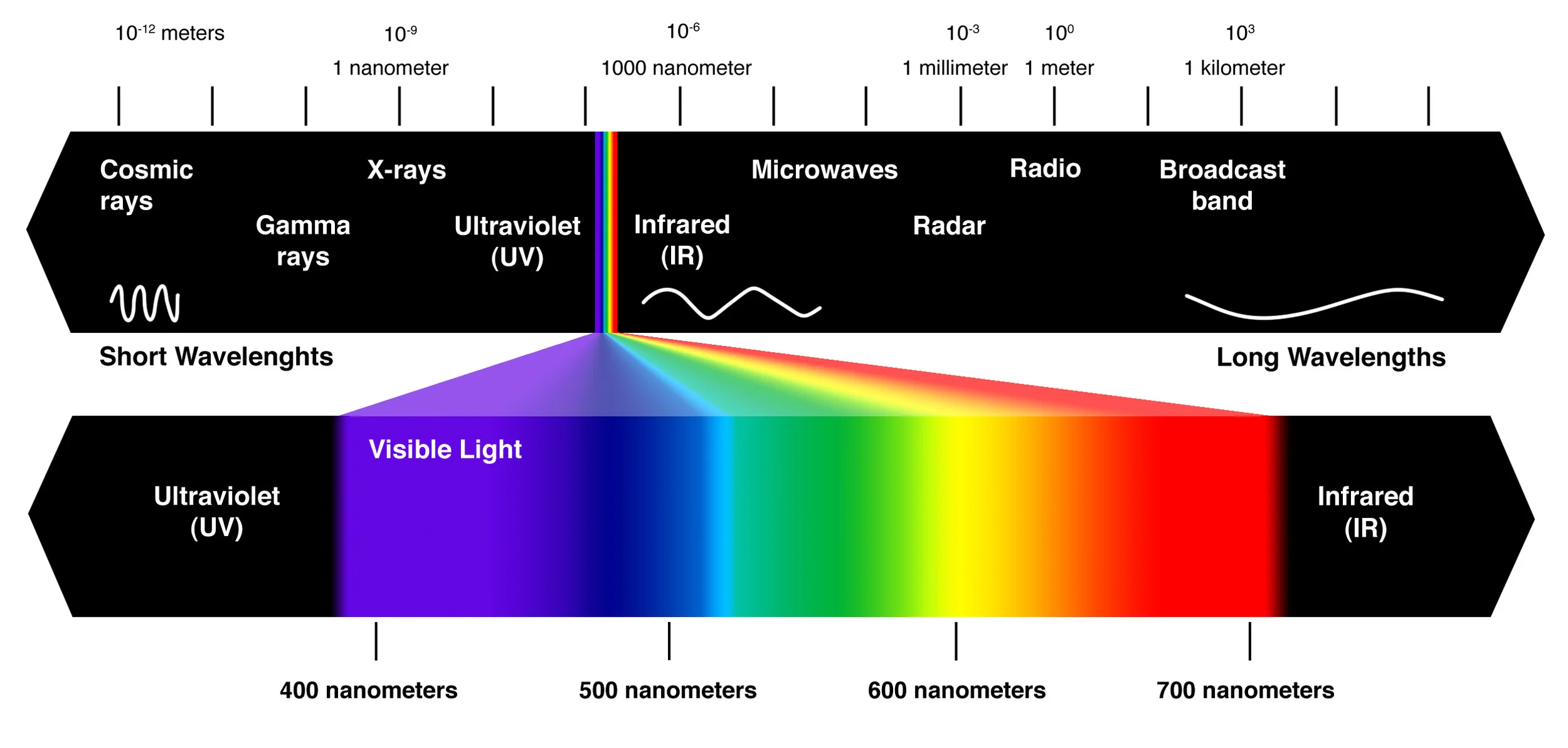 The electromagnetic spectrum. Notice how little of it we humans can see.