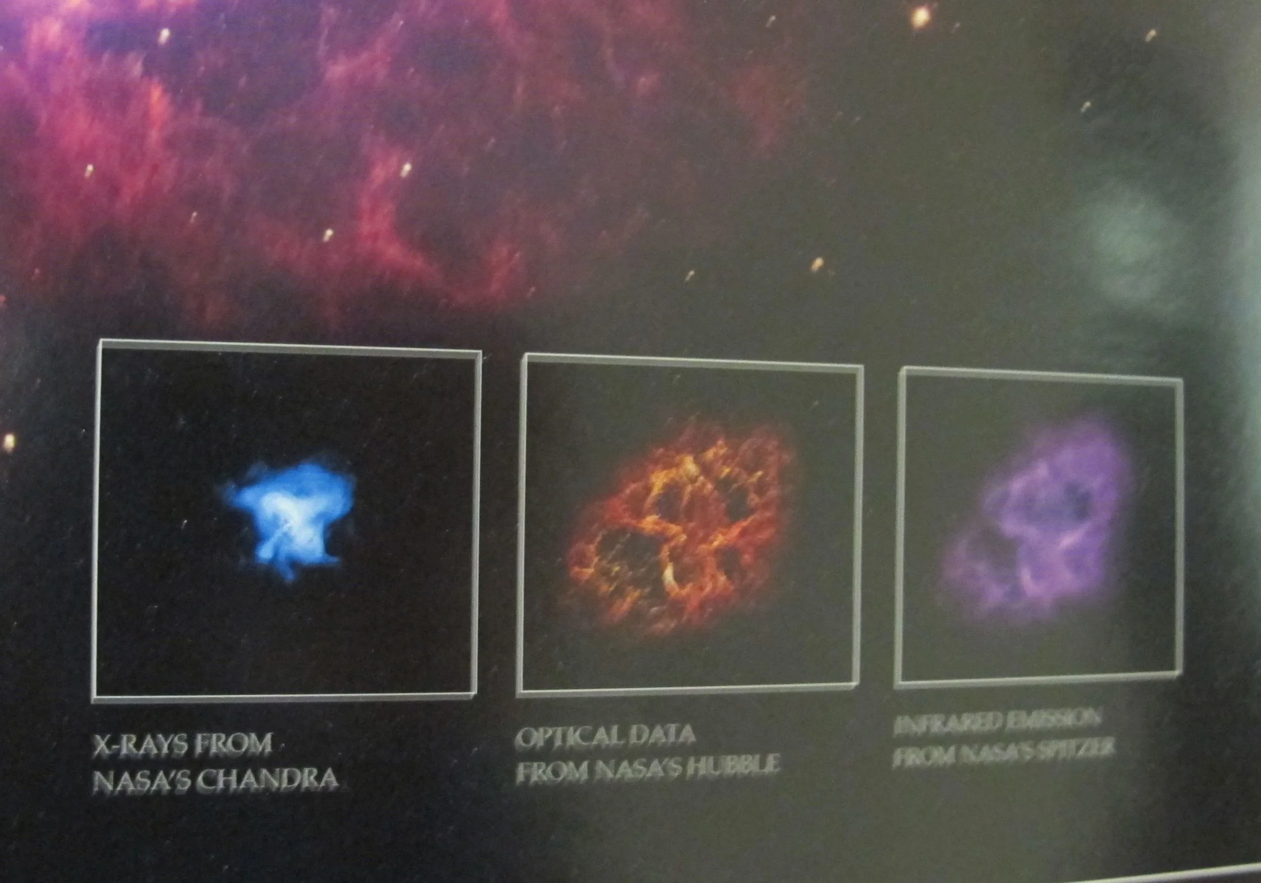 This slightly blurry shot shows the very different pictures of the Crab Nebula taken by (from left) Chandra, Hubble and Spitzer, NASA's three Great Observatories in the sky.