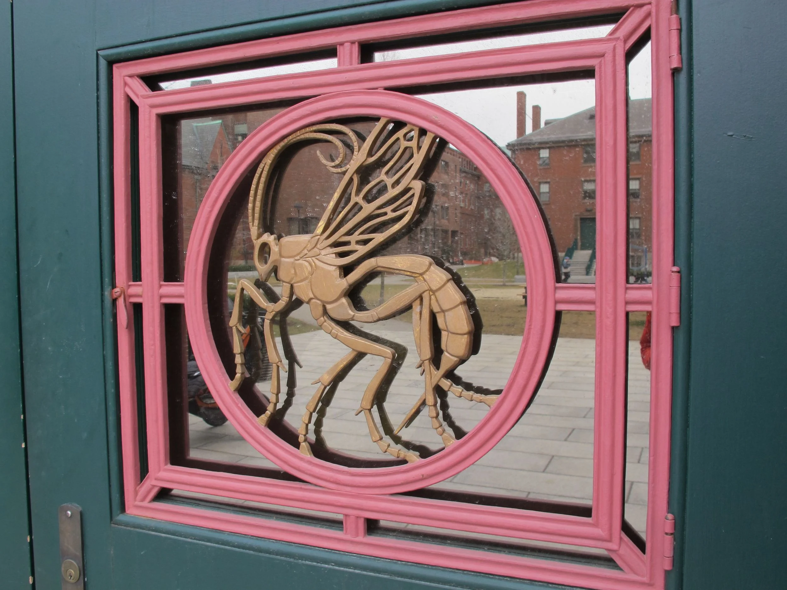 Katharine Lane Weems also designed every one of the bronze door panels on the Bio Lab building. Each shows a different insect.