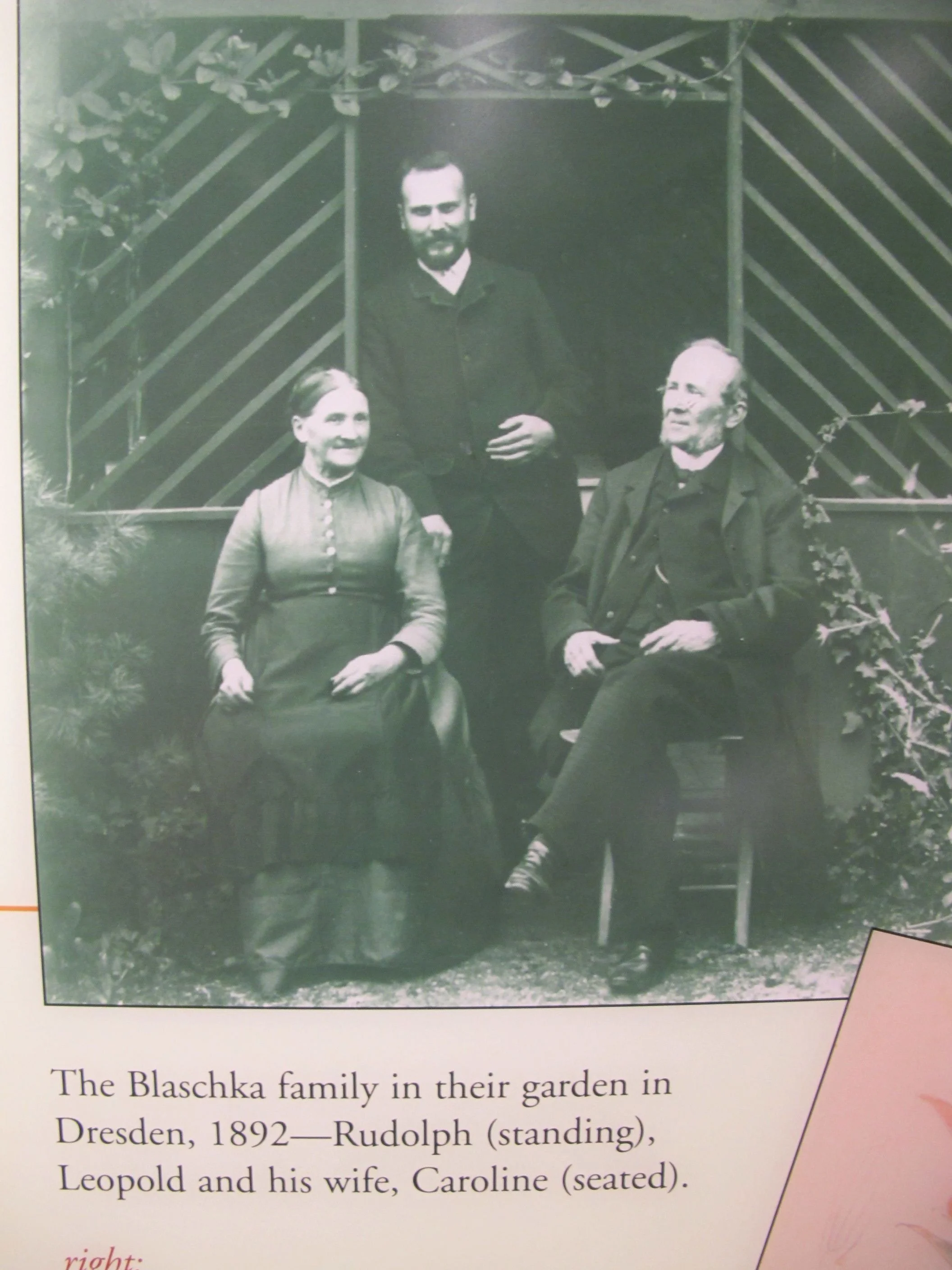 The Blaschkas.