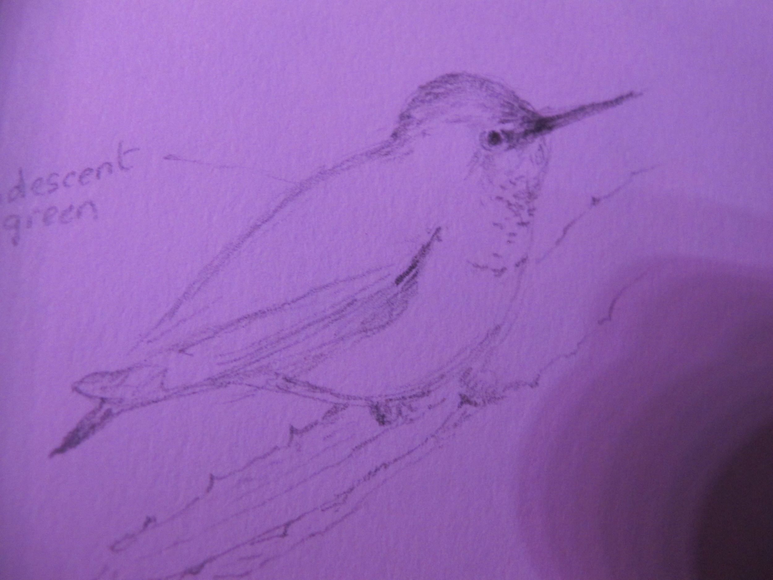 She was not drawing on pink paper, but I took this photo in a museum theater where we were about to watch a documentary on migranting butterflies; the lighting was funky.