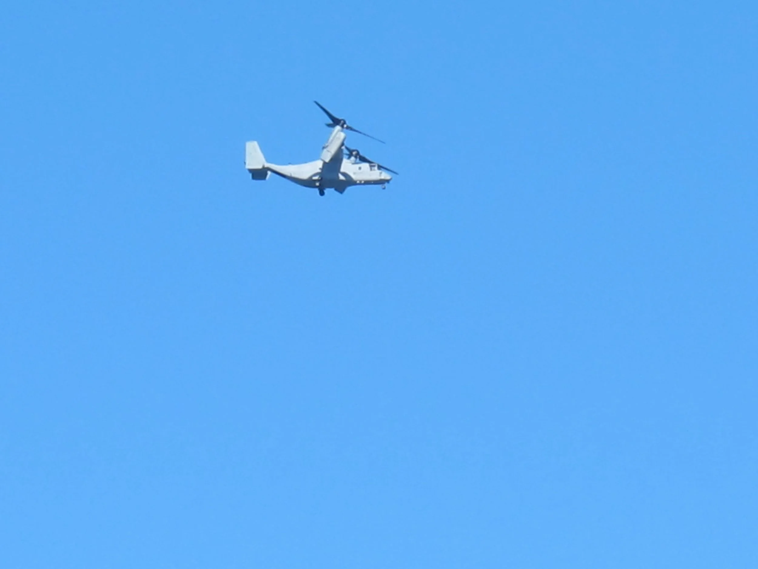 We also saw ospreys—that is, Osprey tiltorotor aircraft, which are a hybrid between a helicopter and an airplane and served as a reminder that San Diego is also one of the U.S.'s biggest Navy and Marine hubs.