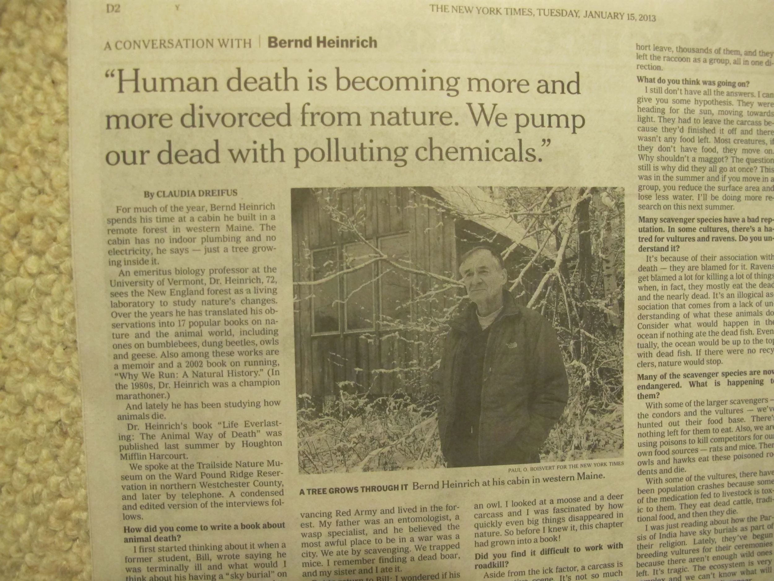 As Bernd notes, we humans often make the natural process of death into something unnatural.