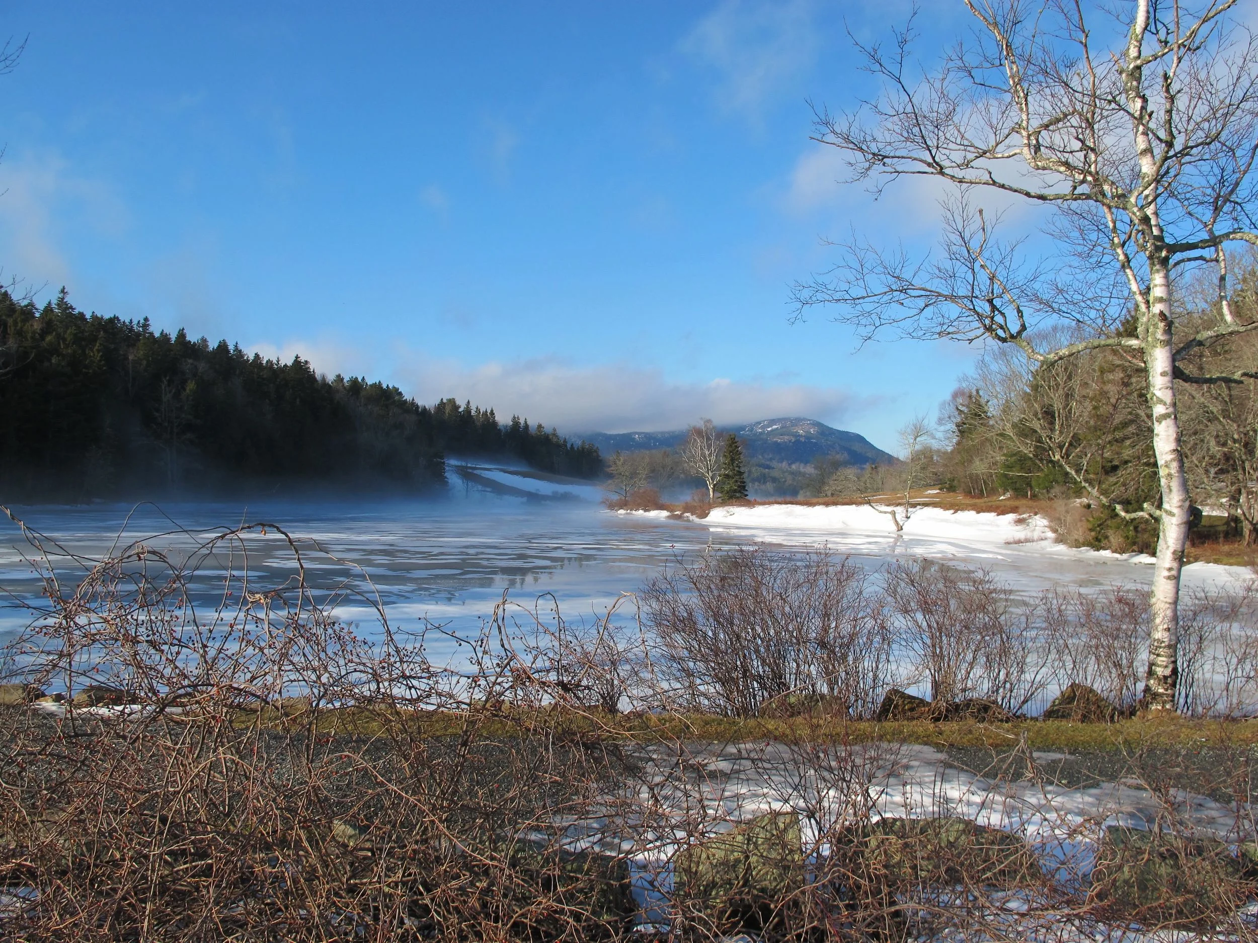 Little Long Pond, near The Naturalist's Notebook, as snow turned into snow fog during a blast of high-40s warmth.