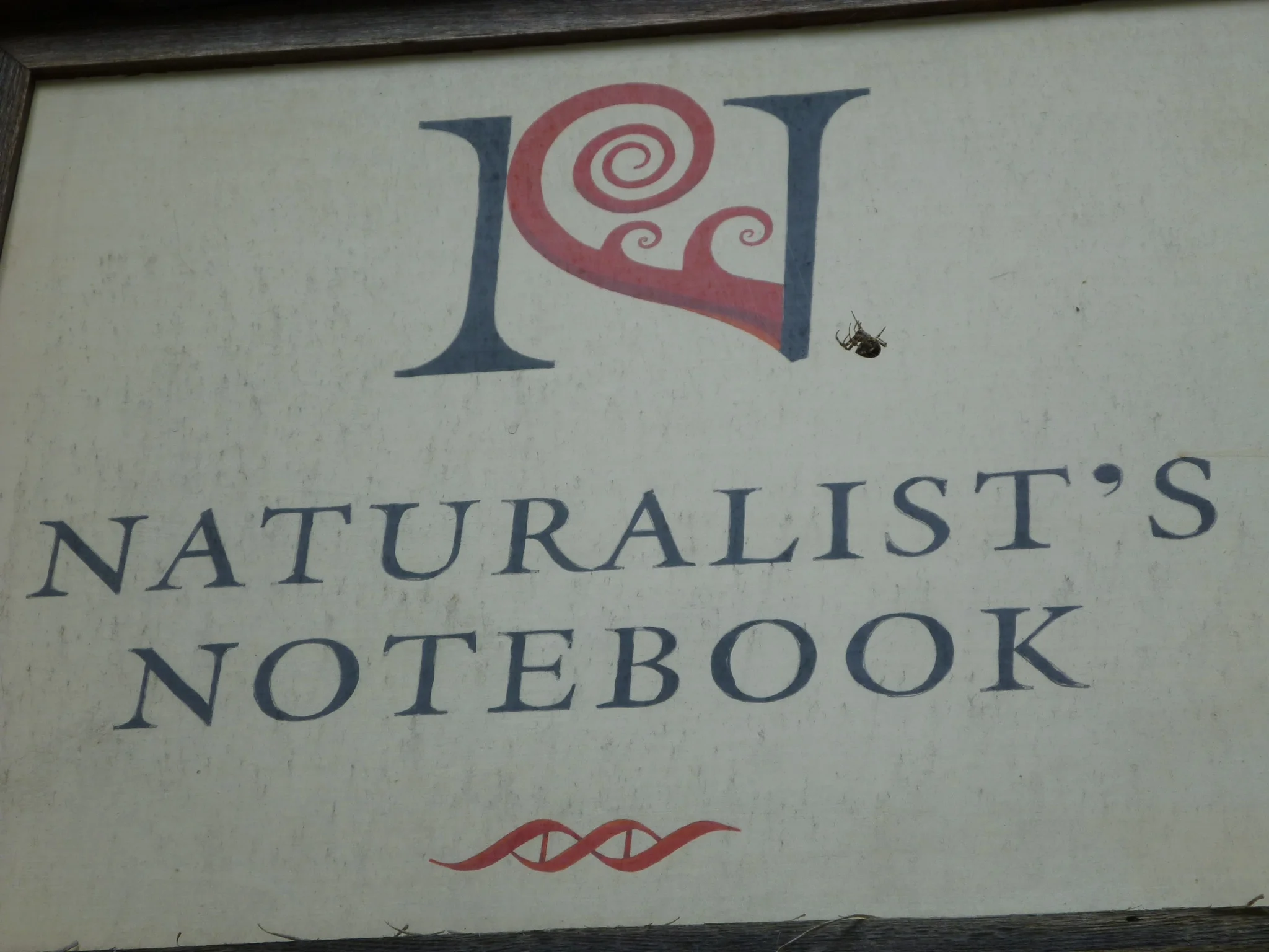A Notebook visitor from this past season sent us a kind note and shared a photo she took of our front sign—complete with a spider that she found mesmerizing.