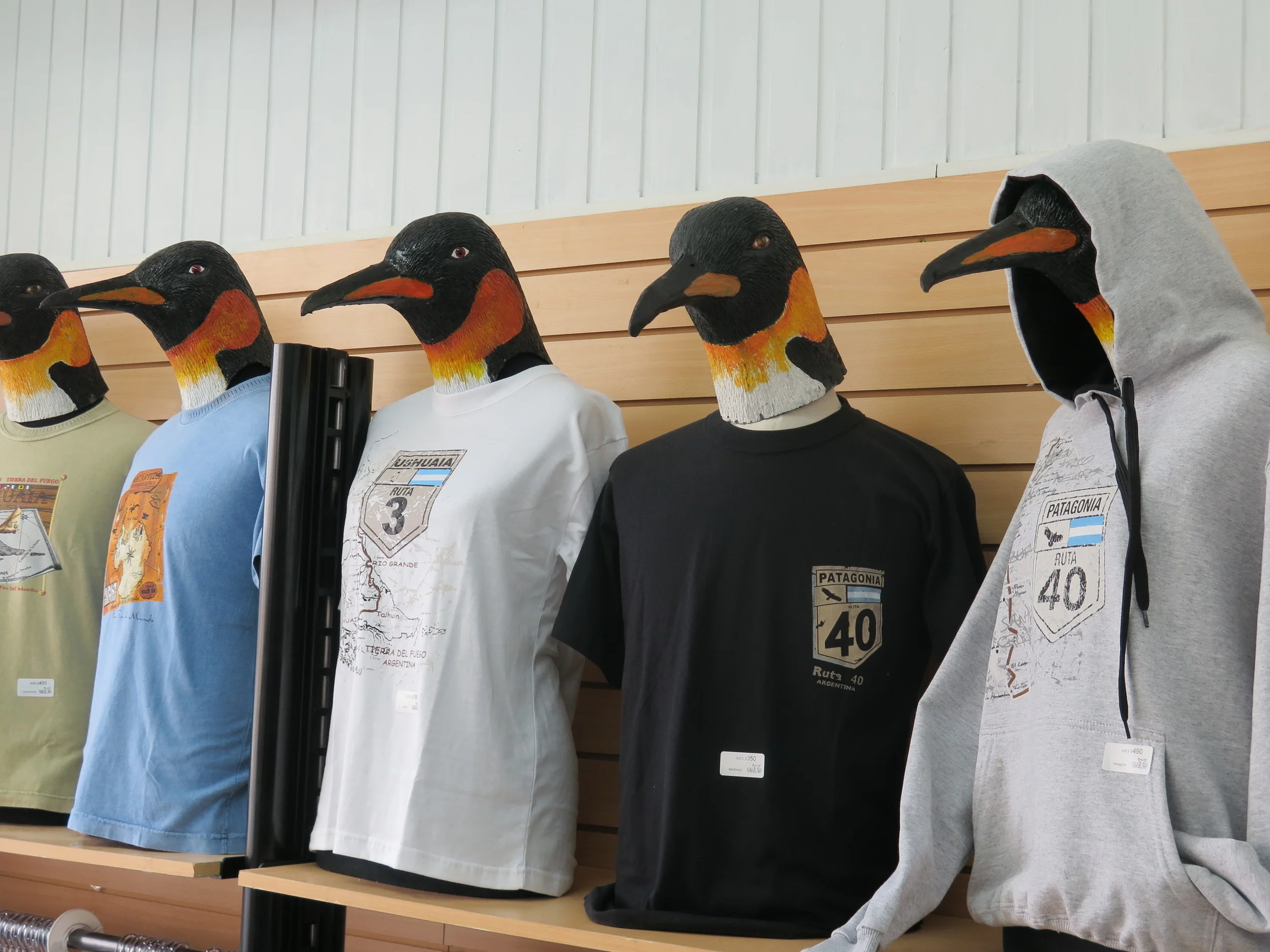 Local shops eschew mannequins in favor of penguin-equins.