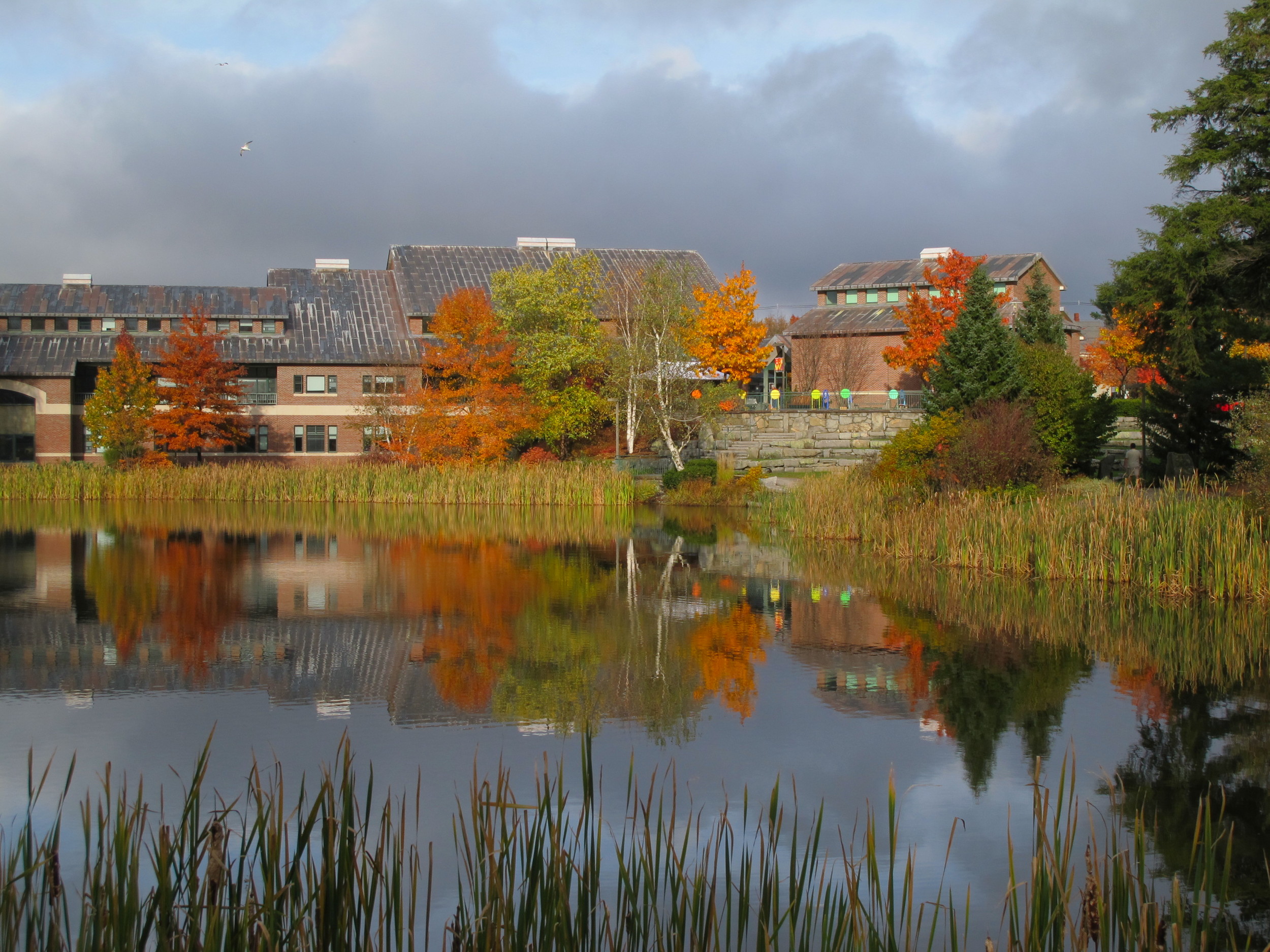 The Maine TEDx conference took place at Bates College’s Olin Arts Center, which sits by a small campus lake. If you look closely at the brick building on the right, you can see some of the 24 colored displays that made up our interactive trail.