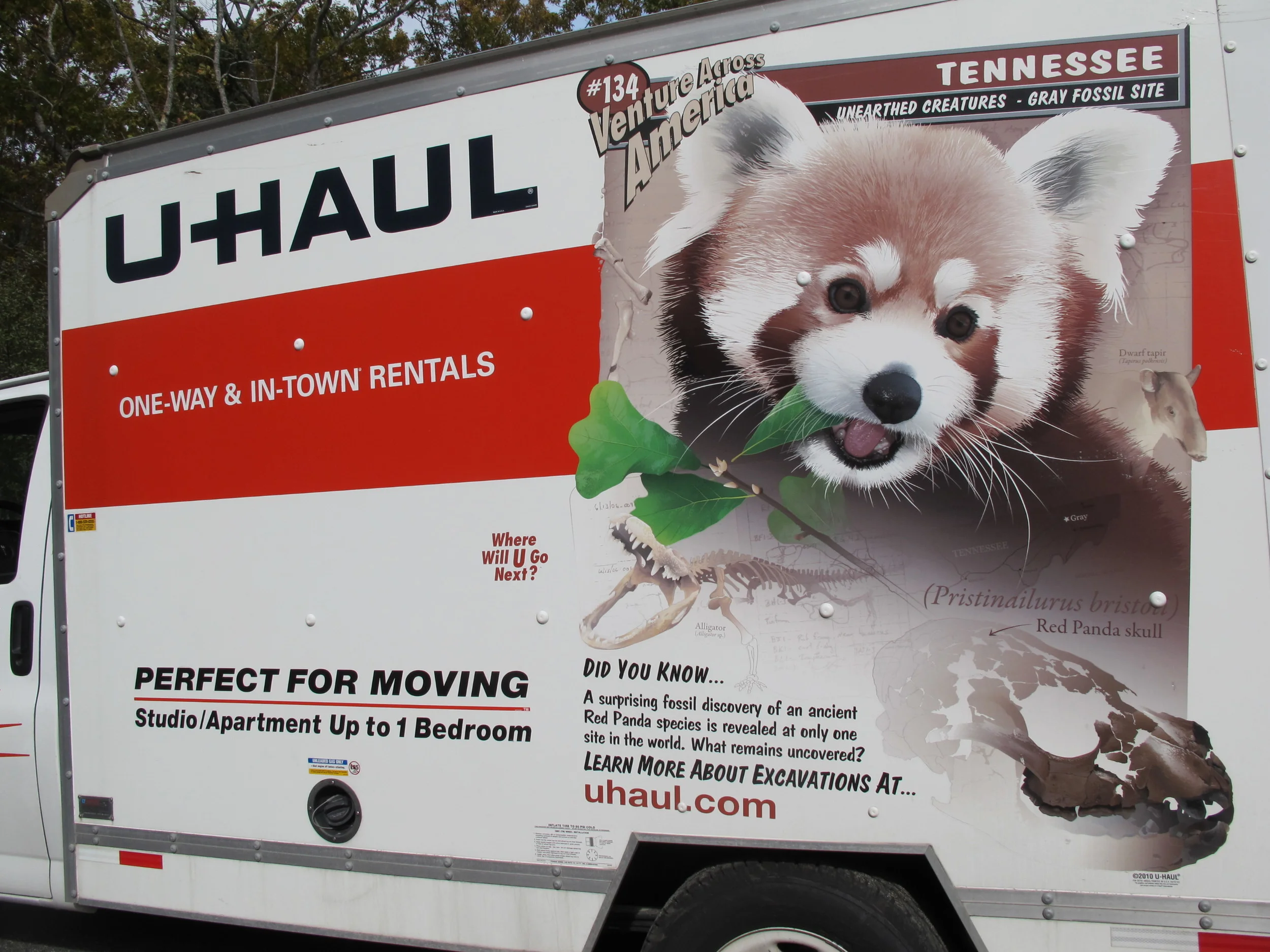 The Red Panda-mobile not only held all the parts and pieces of our history-of-the-universe installation, but also bore a Naturalist’s Notebook-worthy message about animals and natural history.