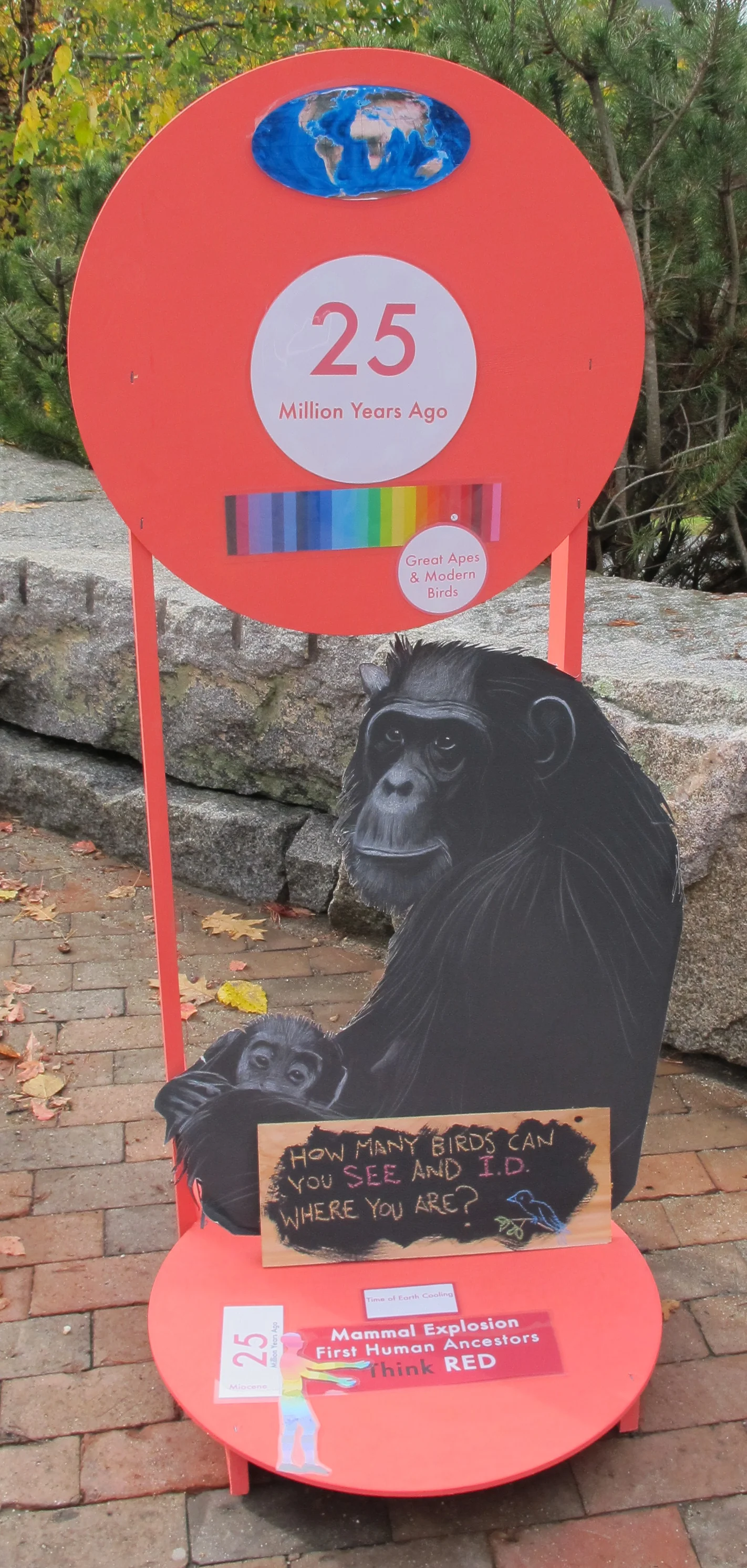 We added one of the chimp illustrations from Jane Goodall Day at the Notebook.