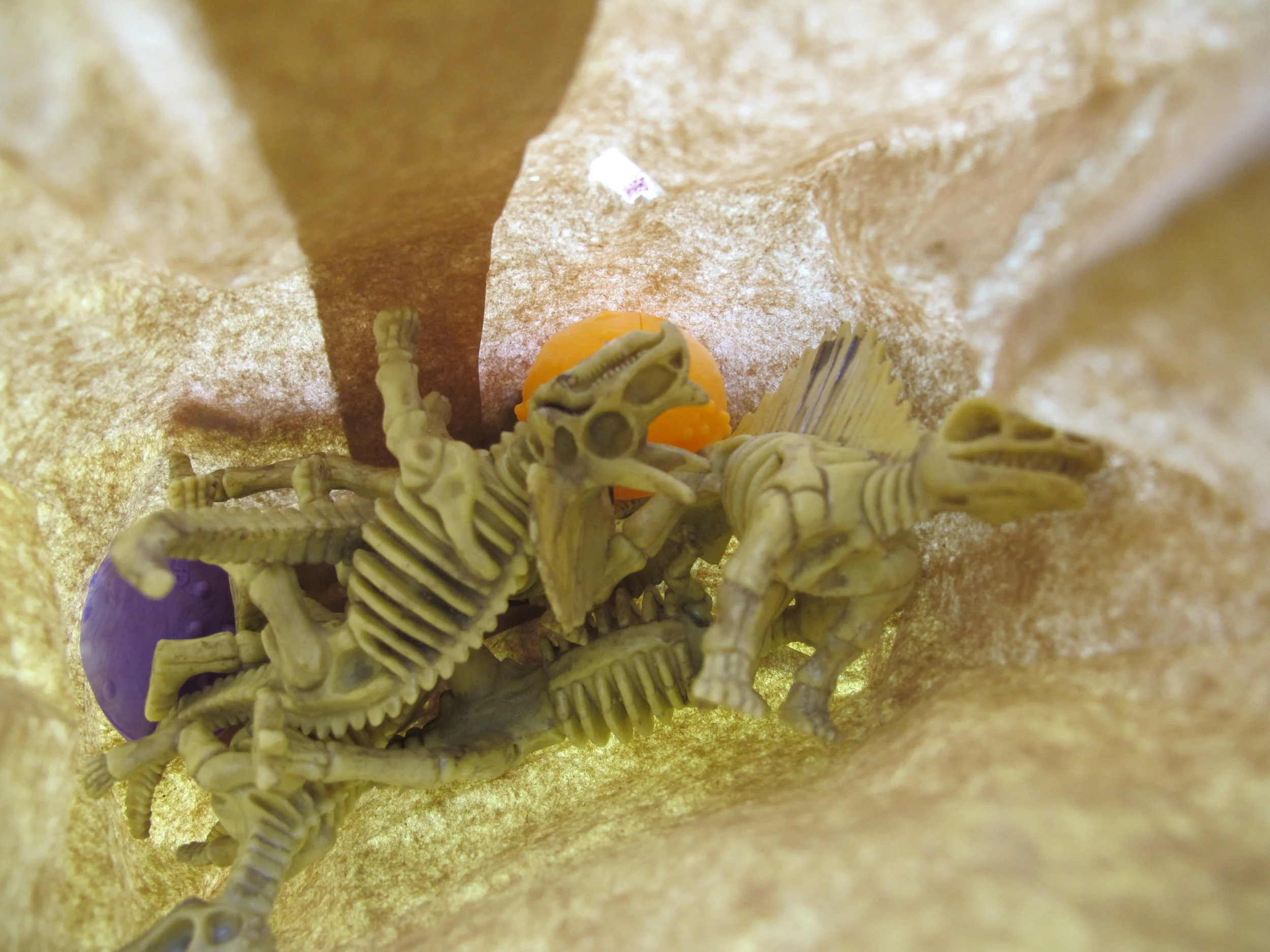 Here’s a peek inside a brown paper bag full of the dinosaurs and dino bones (carefully planted in advance) that young partygoers dug up on the Seal Harbor beach. Is that a cool party activity, or what?