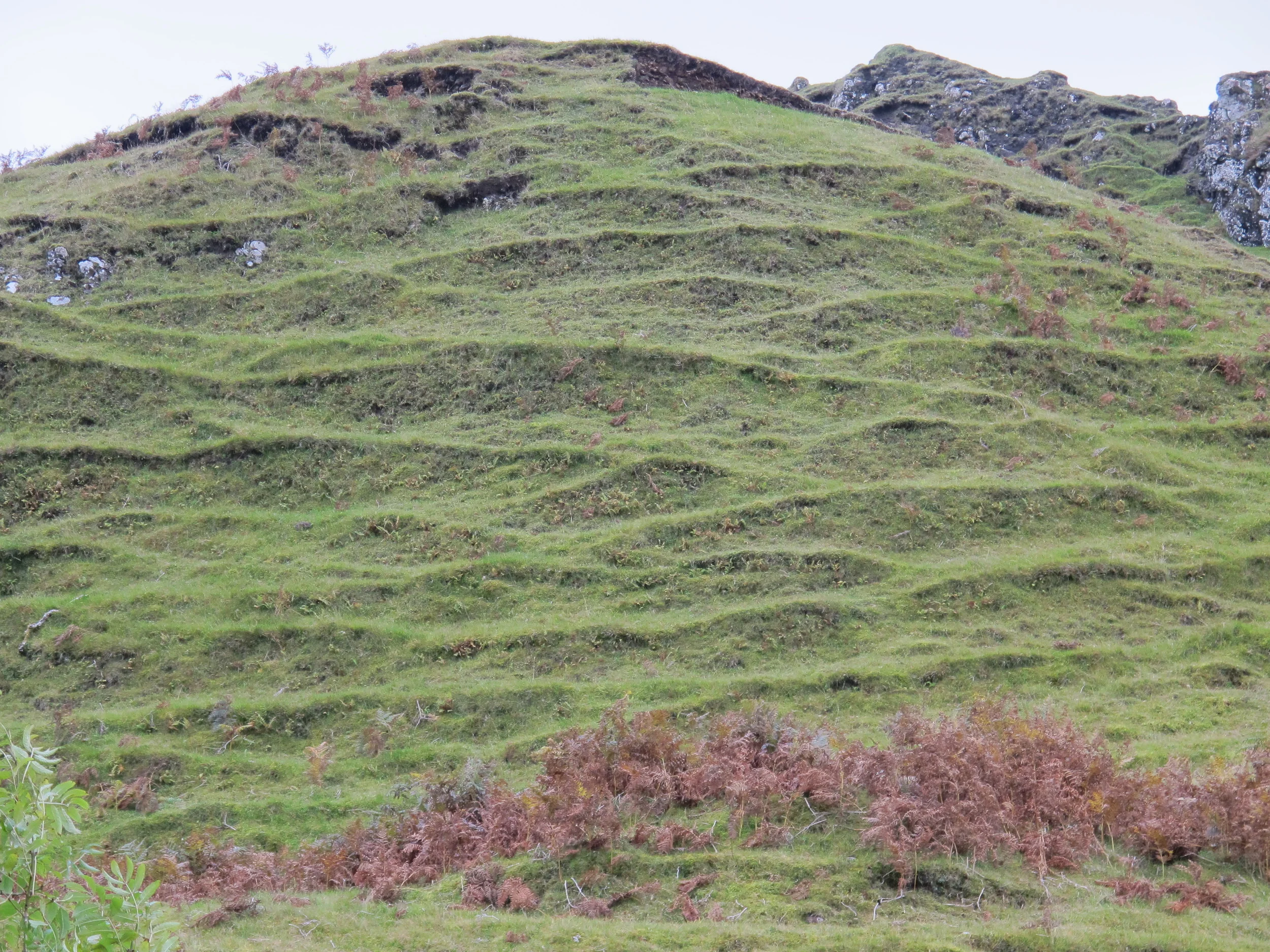 Centuries of sheep trails have carved permanent wrinkles into the rounded hills at Fairy Glen.