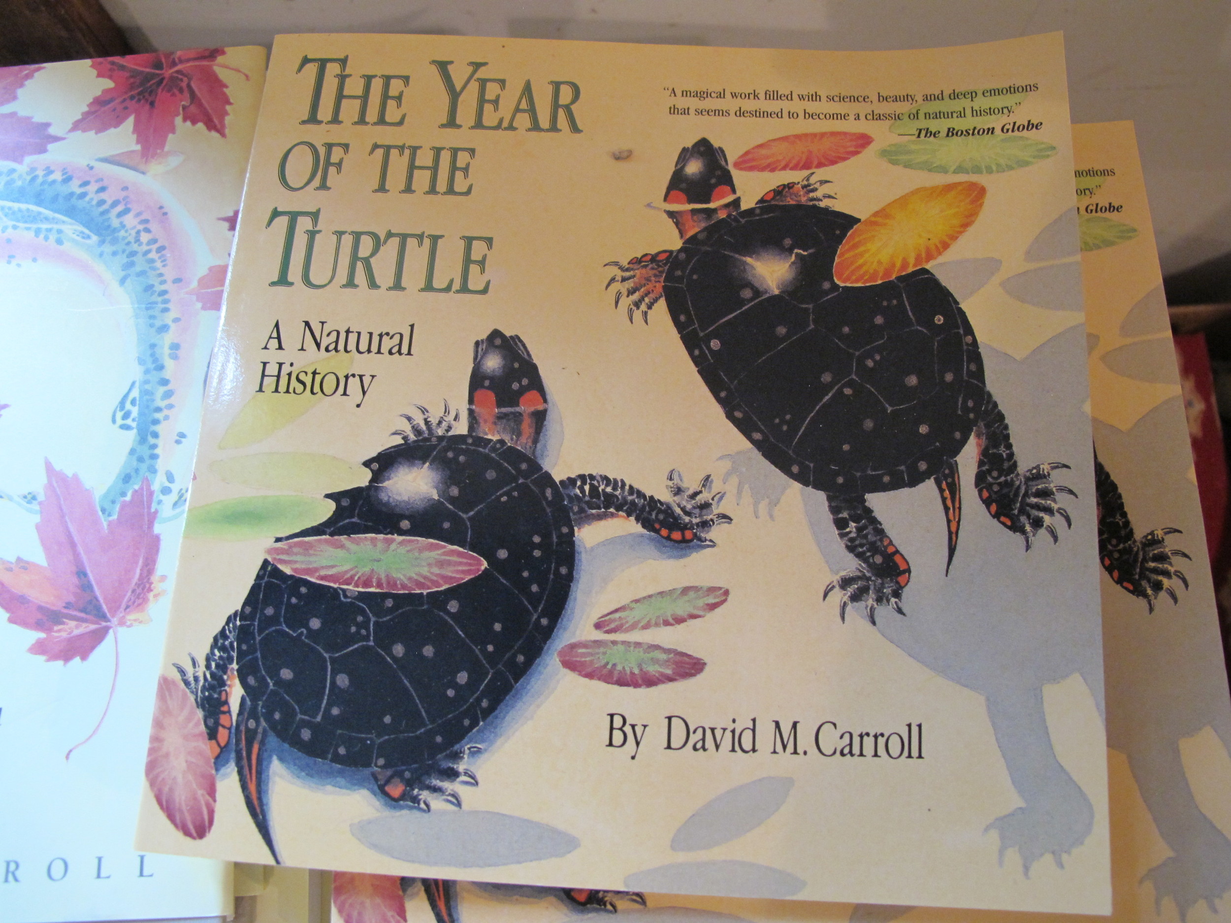 David’s lifelong observation of turtles and wetland environments has brought him worldwide respect, a John Burroughs medal for distinguished natural-history writing, and a McArthur fellowship. Most important, his efforts have helped us understand and learn how to protect turtles, the amazing creatures whose habitats humans continue to destroy.