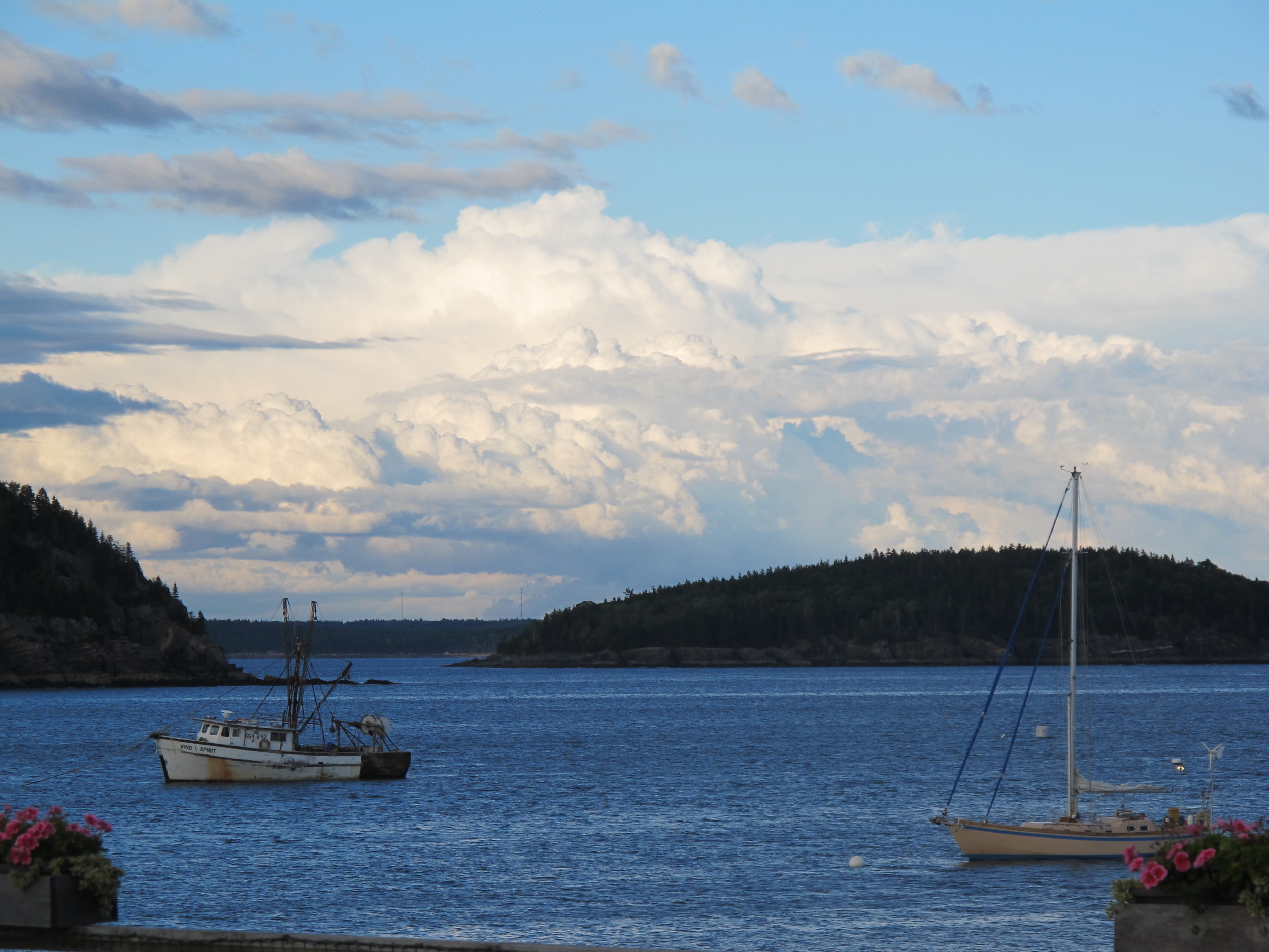 The postcard view earlier last evening in Bar Harbor.