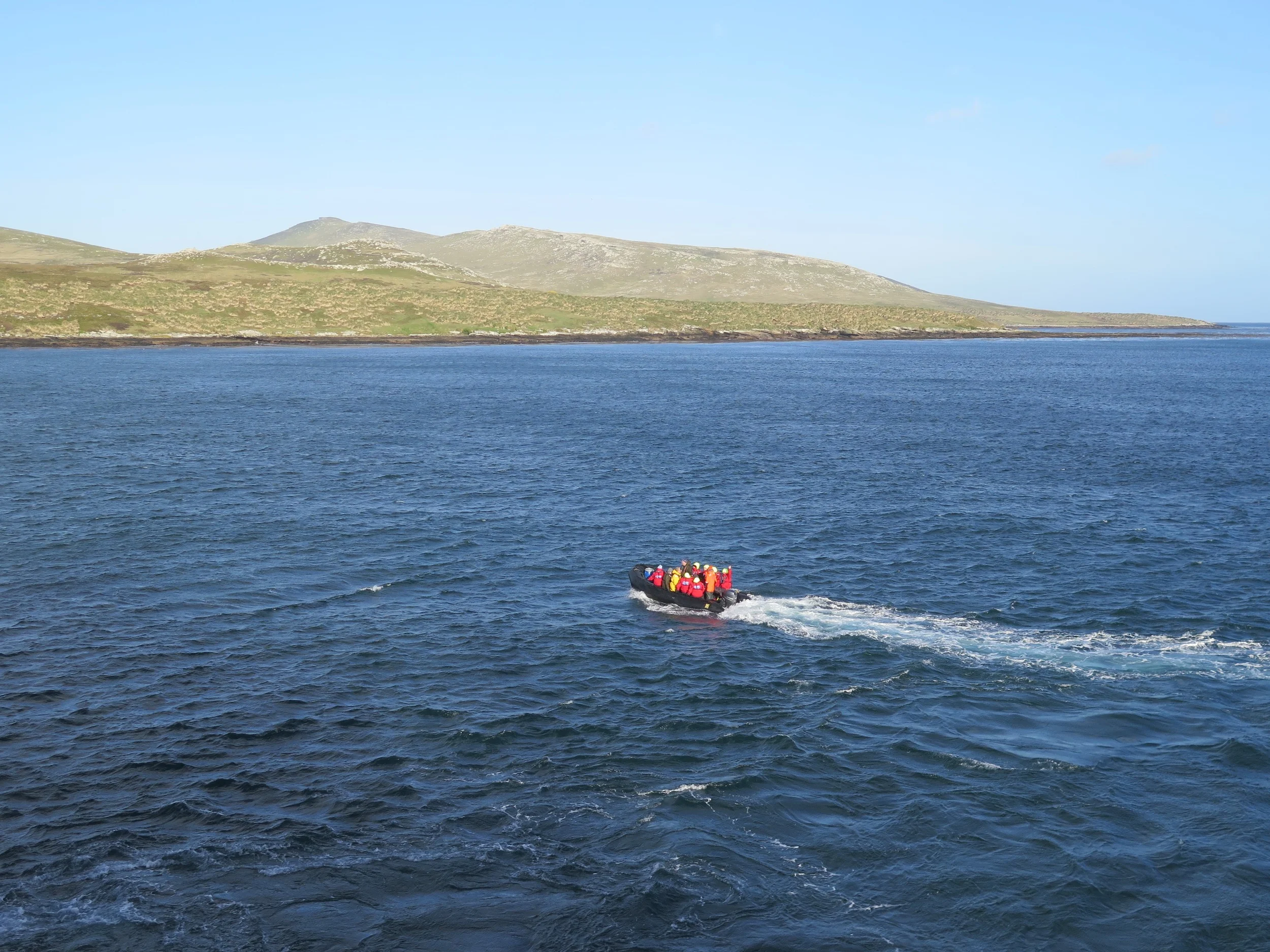 After we rinsed our boots with disinfectant to ensure we were bringing no foreign life forms on shore, our small fleet of Zodiacs headed for West Point Island to start the adventure.