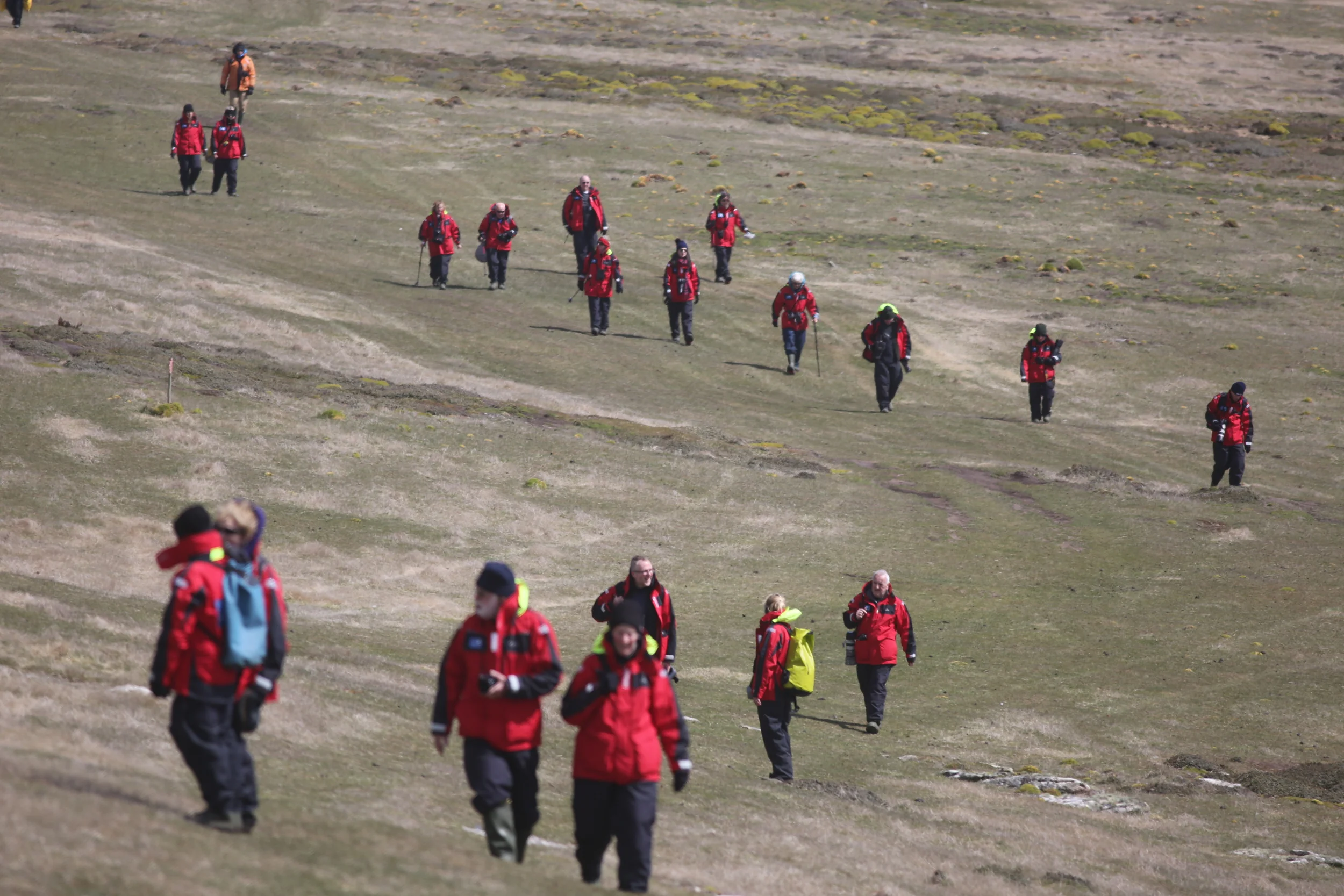 Our flock of red-coated wanderers finally hiked back toward the Zodiacs.