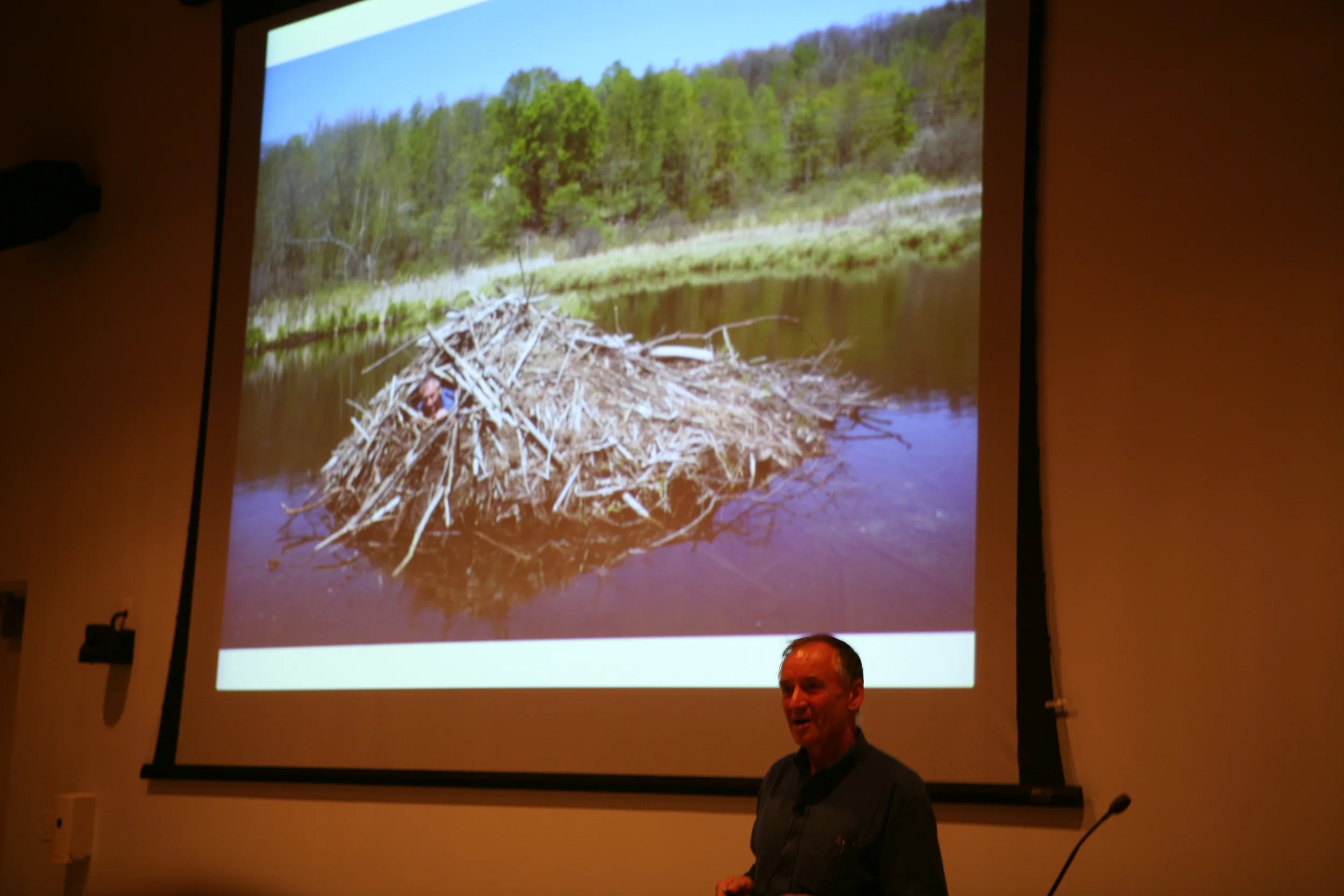 Bernd’s talk at the Schoodic Education and Research Center (SERC) Institute drew a full house. Yes, that’s Bernd’s head popping out of the beaver lodge in the slide. He’ll go anywhere to learn how nature works.