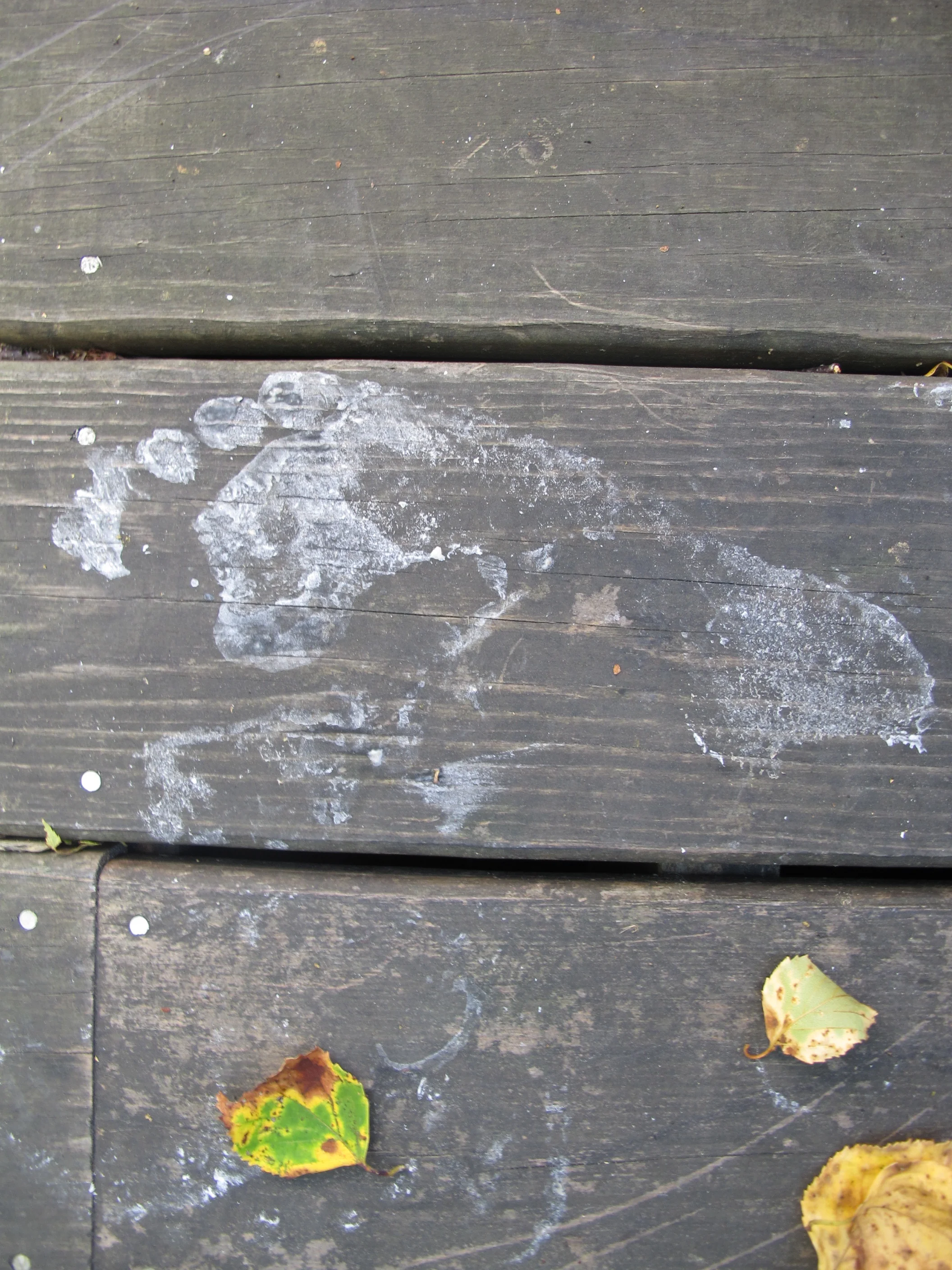 We began creating a Moon-rock installation on the deck at the Notebook and, like the late Neil Armstrong, left behind our lunar footprints.