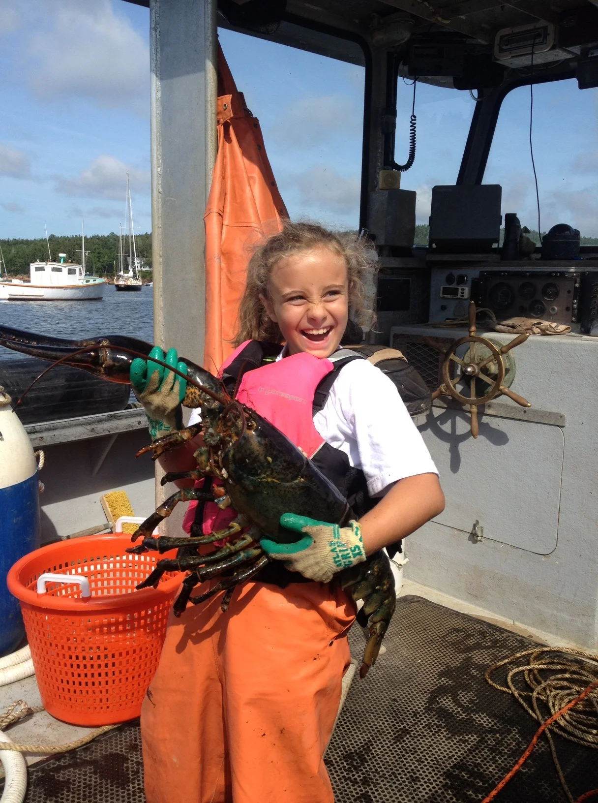 I was surprised (though not really) to find out that Sarah, one of the Notebook’s youngest friends and collaborators, has gotten a lobstering license. She pulled this 30-inch, nine-pound lobster out of one of her traps.It was WAY too big to keep; Maine is a leader in protecting larger, older lobsters because they are the best breeders (and, after all, have earned special treatment after surviving in the ocean for decades!).