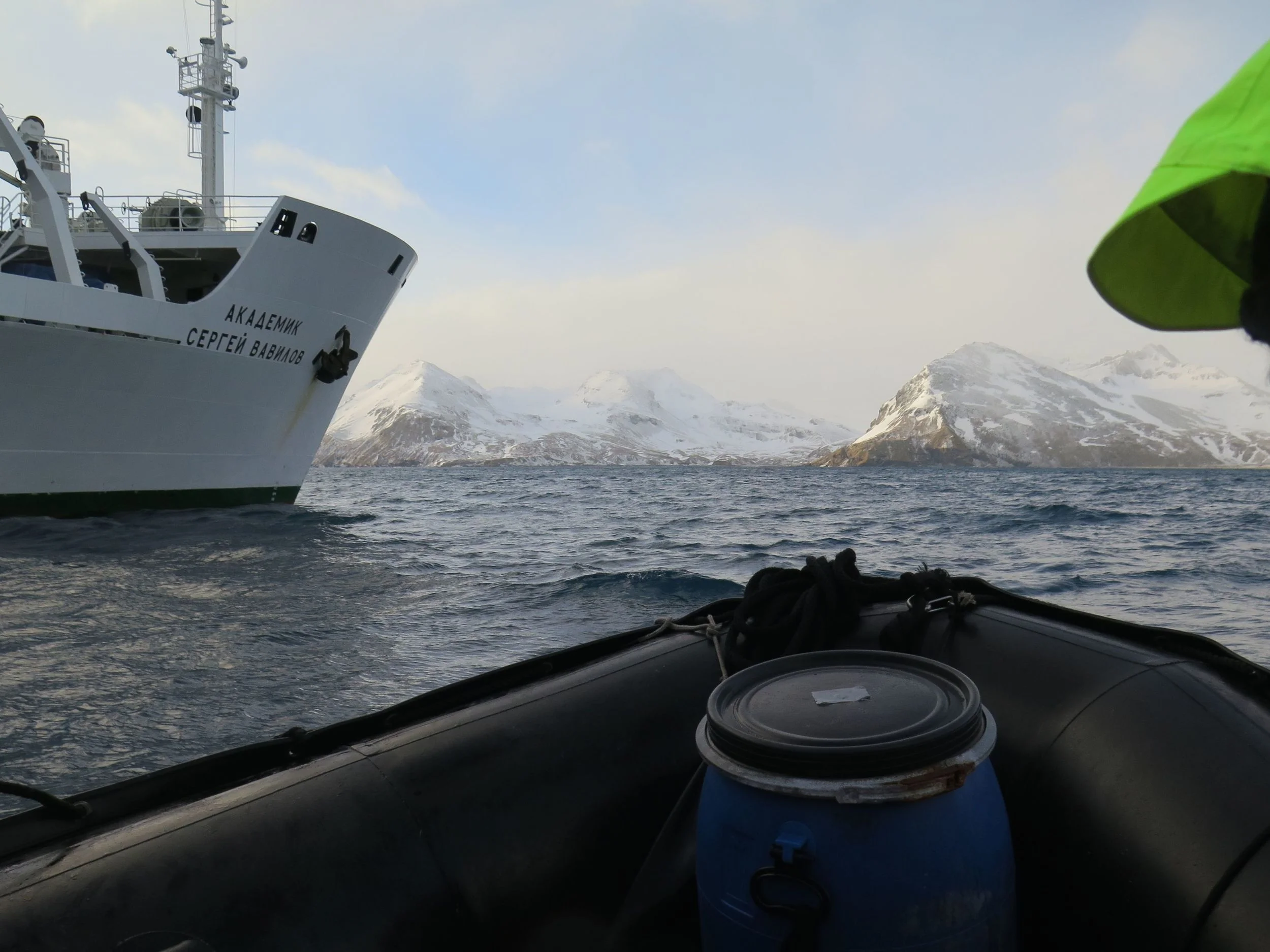 ...and off we zoomed toward a shore where we human adventurers would be outnumbered at least 2,000 to one—2,000 to one!—by king penguins and southern elephant seals. 