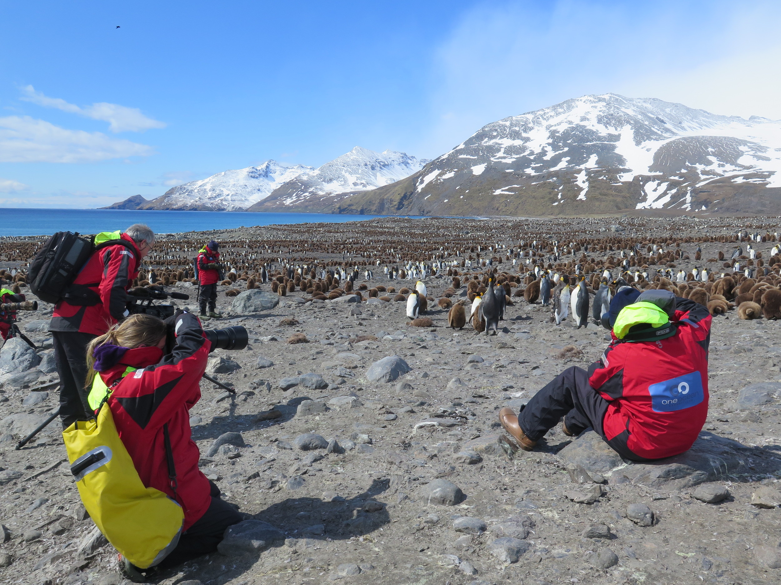 Among those taking in the action in our group of expeditioners was award-winning wildlife filmmaker Peter Bassett (far left), one of David Attenborough's former BBC producers, who was shooting footage throughout the trip.