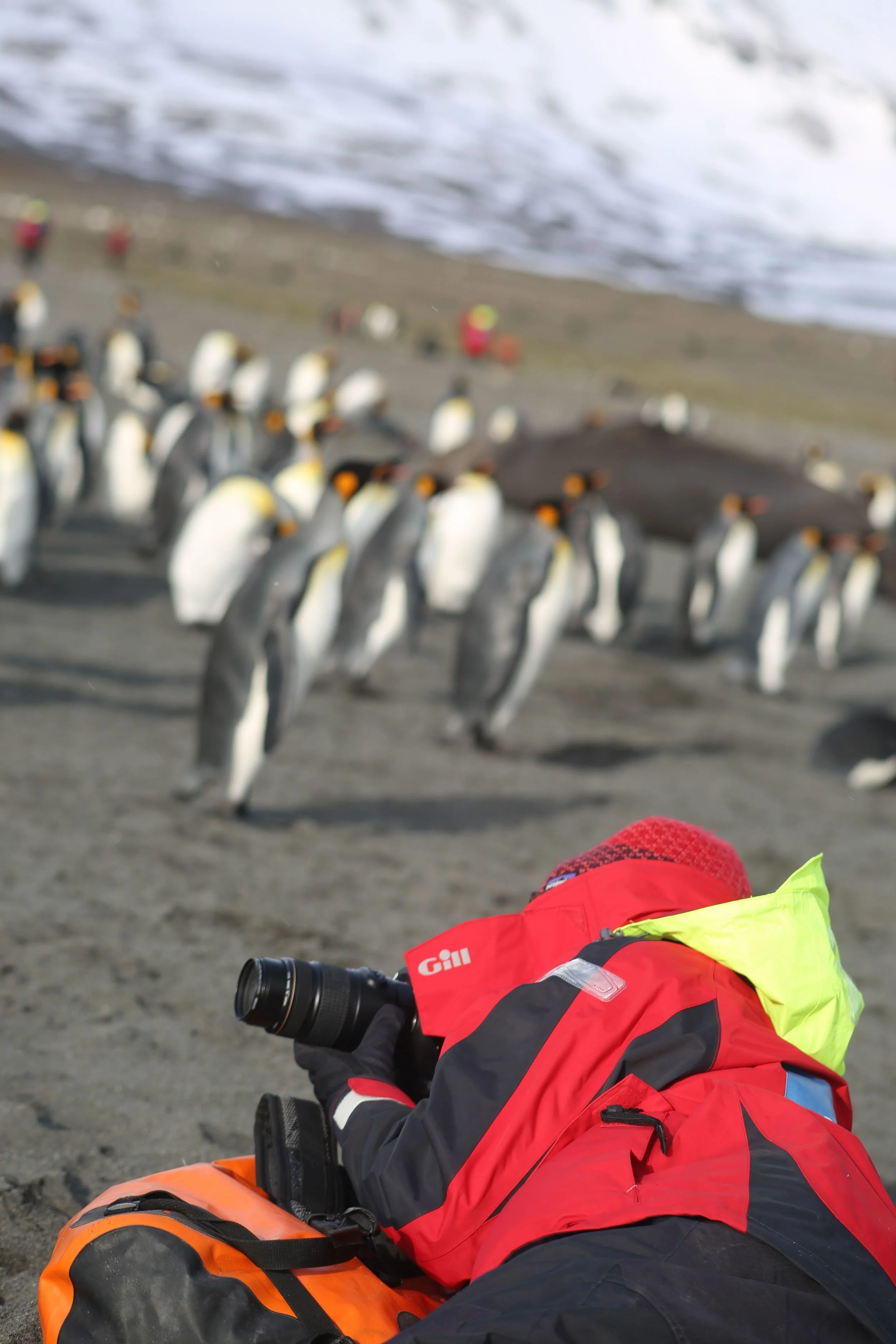 Pamelia was one of the many ground-based shooters.