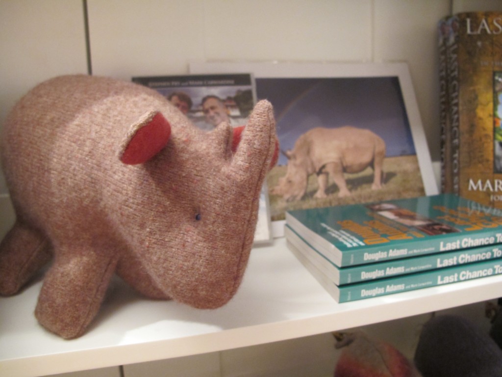 Pamelia asked artist Carolyn Heasly, who hand-makes the greatest wool animals, to create a rhinoceros. We call this one Max, in memory of the rhinoceros highlighted by Mark Carwardine and Stephen Fry in Last Chance to See (background photo).