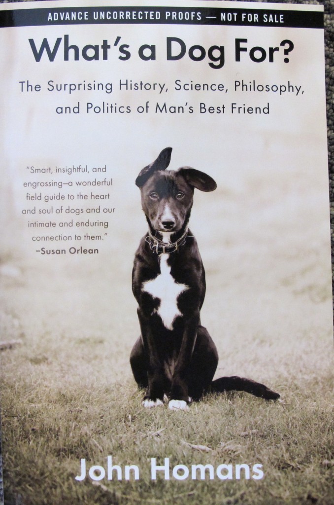 A new book explores the evolution and history of dogs.