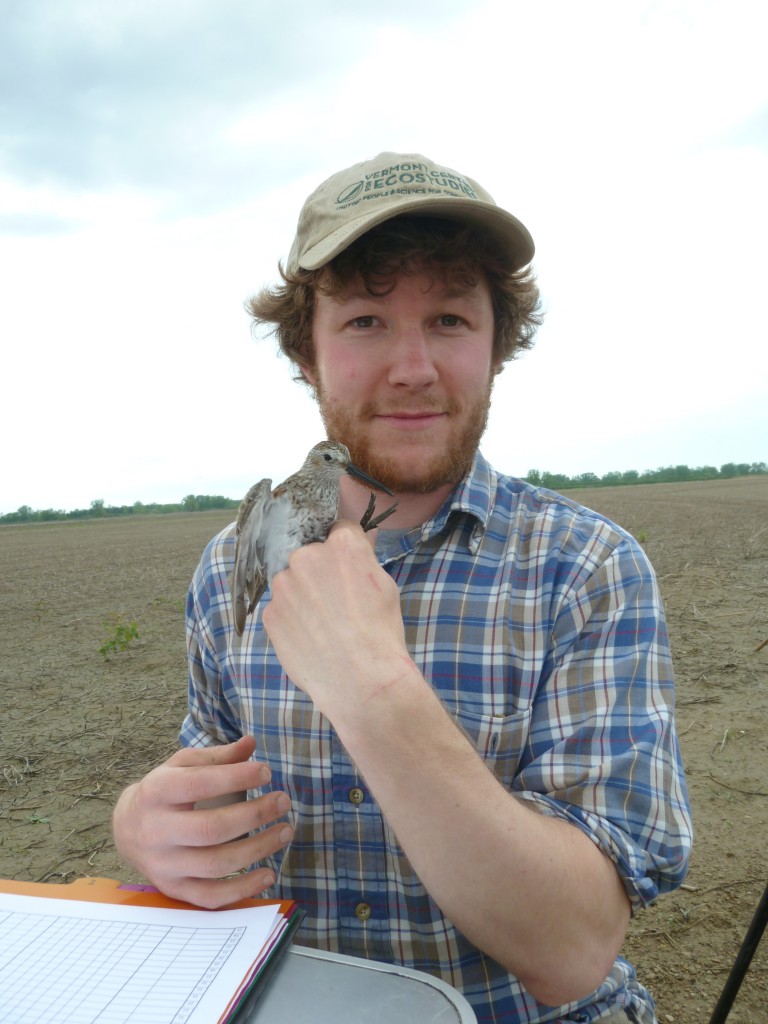 Here’s Pat with a type of shorebird called a dunlin. He caught it while helping a friend on a research project.