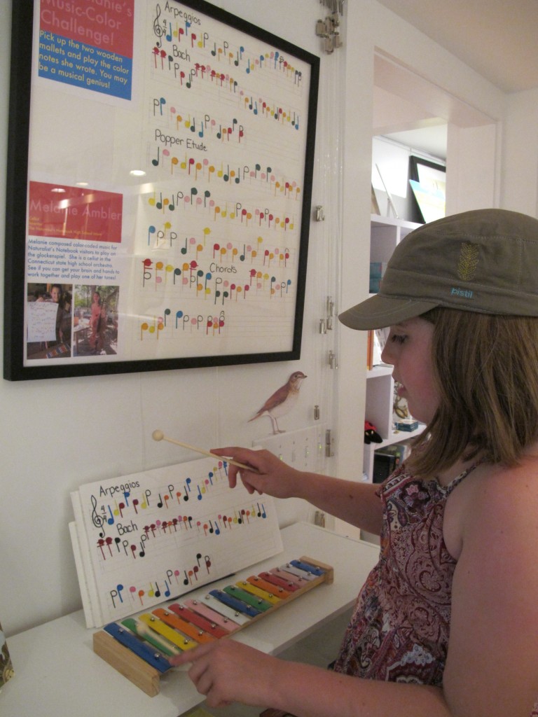 Visitors grab the mallets and tap out color-coded music on the glockenspiel—a test of their brains’ ability to read color and use it to guide their hands.