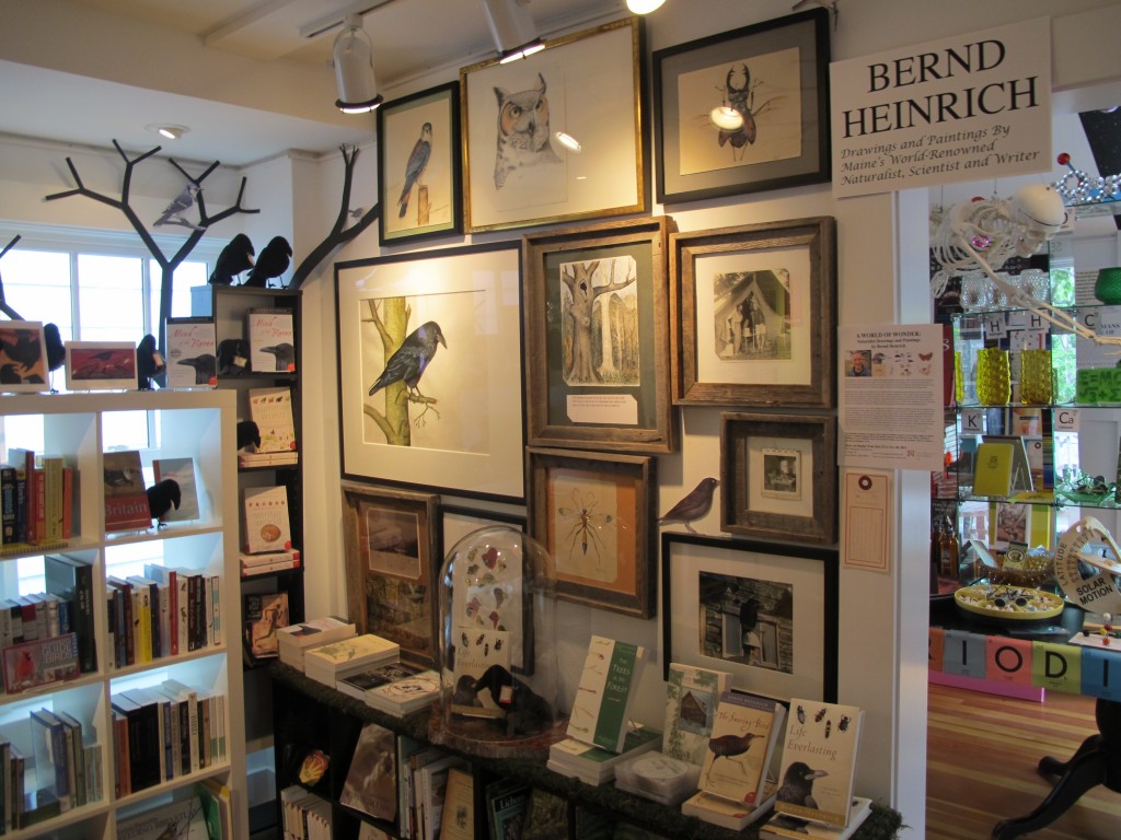 A portion of our Bernd Heinrich art installation.
