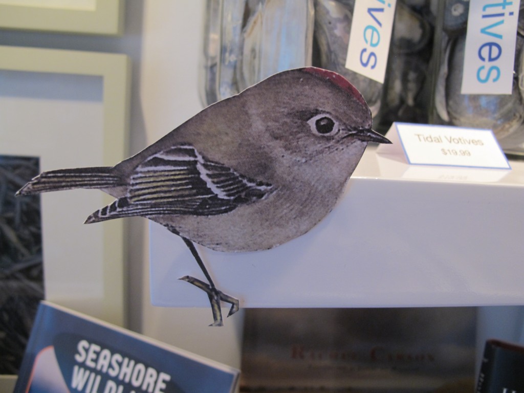 Pick up your bird checklist and try to find the 45 species we’ve perched throughout our three floors.