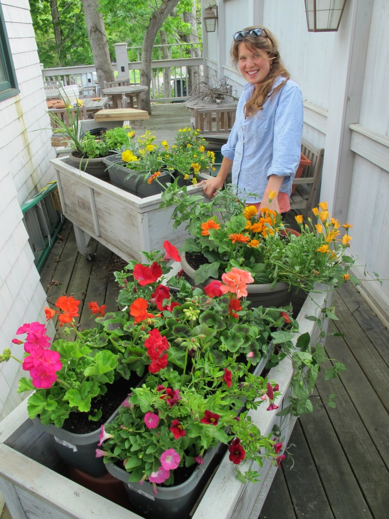 Haley is designing our flower boxes, which also will highlight colors in the order of the spectrum as part of a much broader project Pamelia has created.