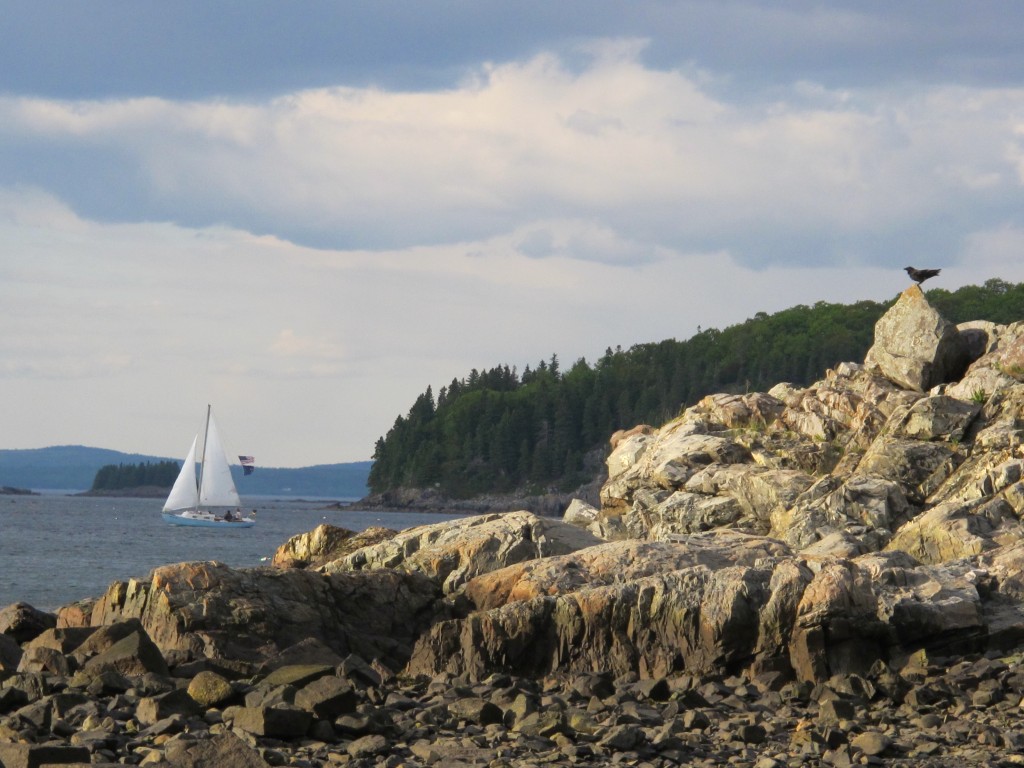 Maine. Compass Harbor, to be exact, as it looked when Pamelia and I took a short walk there on our way home the other night. Just another reason why Maine’s promotes itself with the slogan The Way Life Should Be.