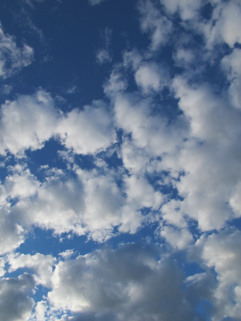 Clouds at Compass Harbor.