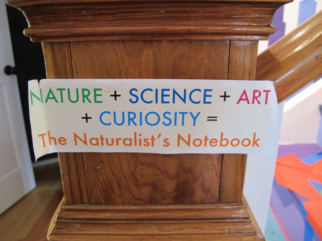 Stay curious.