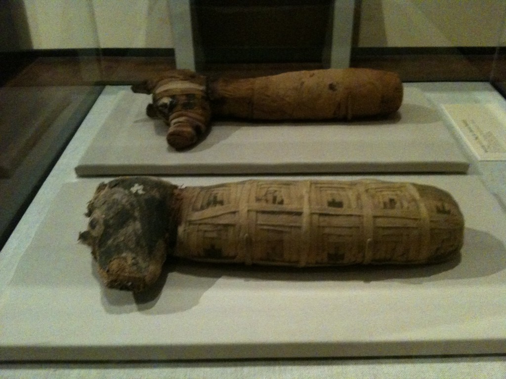 The mummified dogs.