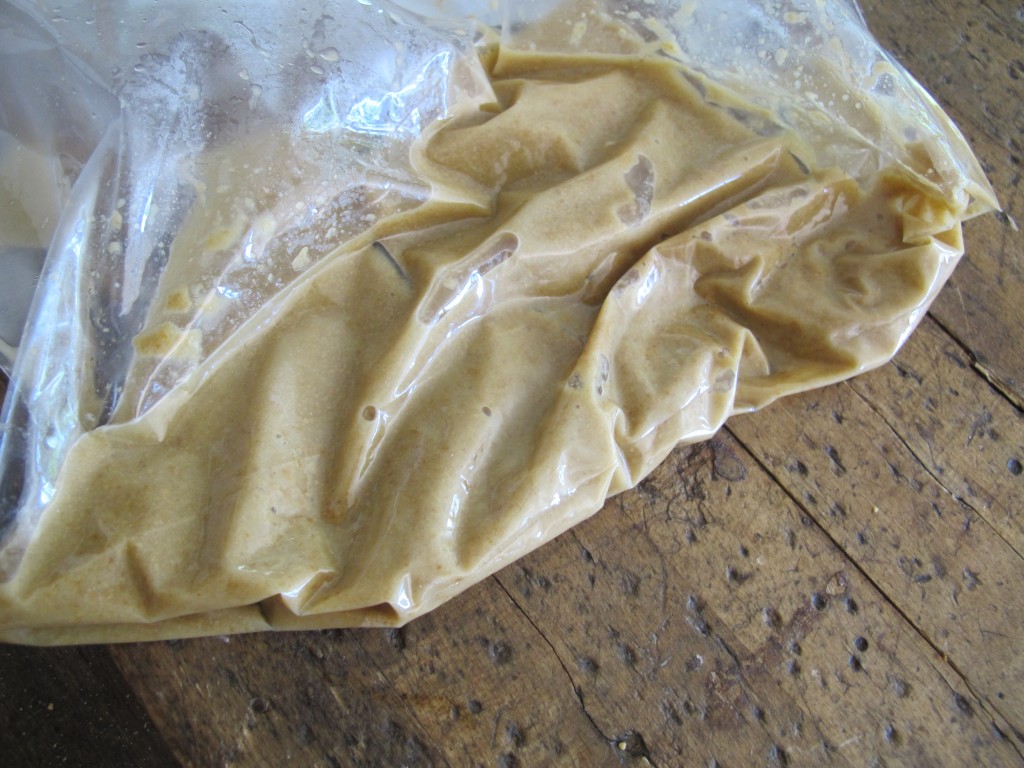 I mixed the crushed Total with hot (not quite boiling) water in a Ziploc bag. The book doesn’t say how much water to add, so I just guessed and made it somewhat watery. Maybe half a cup? Following O’Hare’s instructions, I let the mixture settle for about 20 minutes.