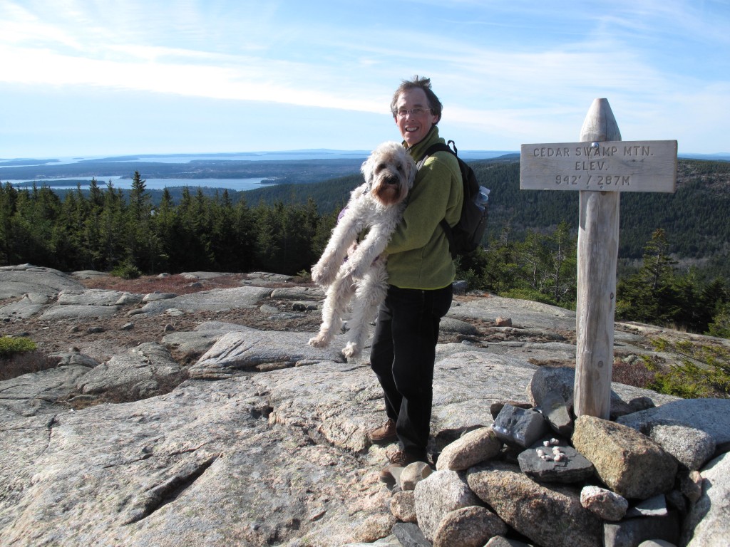 Wooster adapted happily to life in Maine. Here she’s taking a breather after leading us up Cedar Swamp Mountain in Acadia National Park.