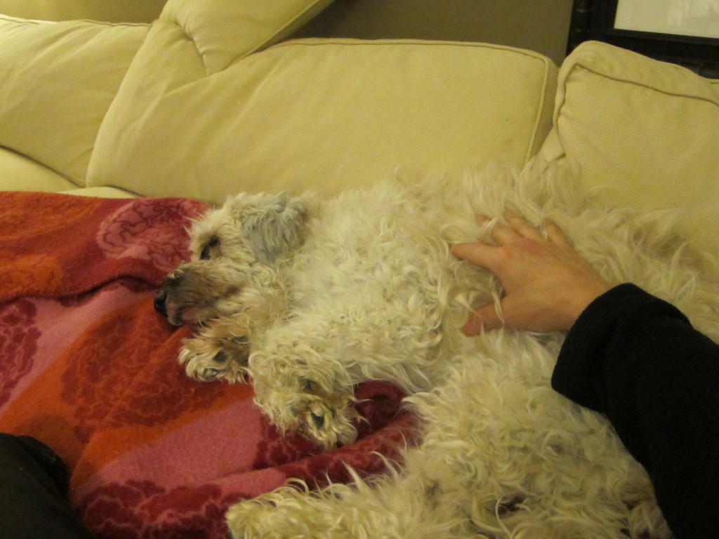 A familiar pose, this one in her final weeks.