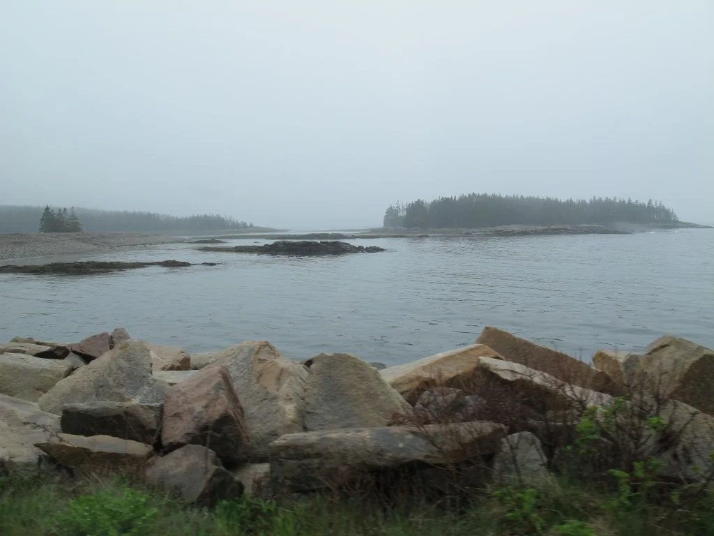 The shoreline near SERC. No sunshine on this day—that is, no SERC du soleil.