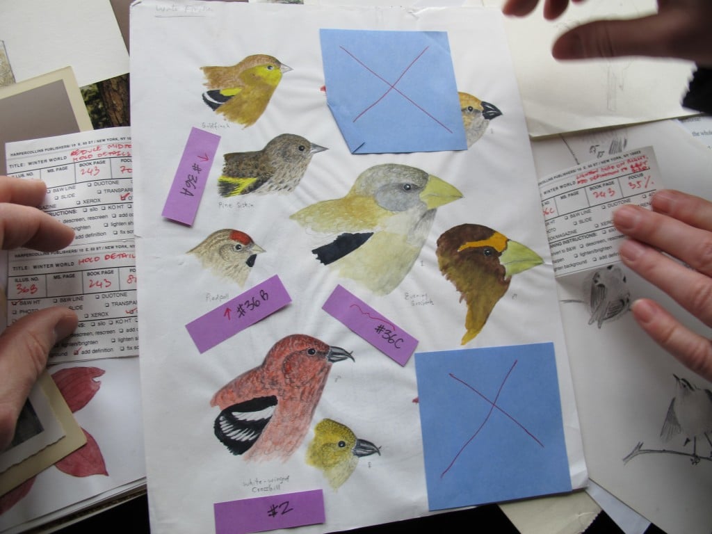 Some of his work, such as this painting of winter finches, still had the Post-it notes stuck on by his book publishers as instructions to printers.