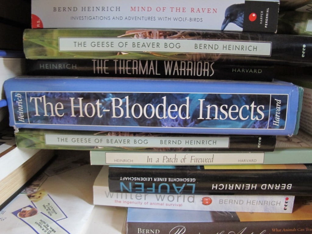 A few of Bernd's books in the studio.